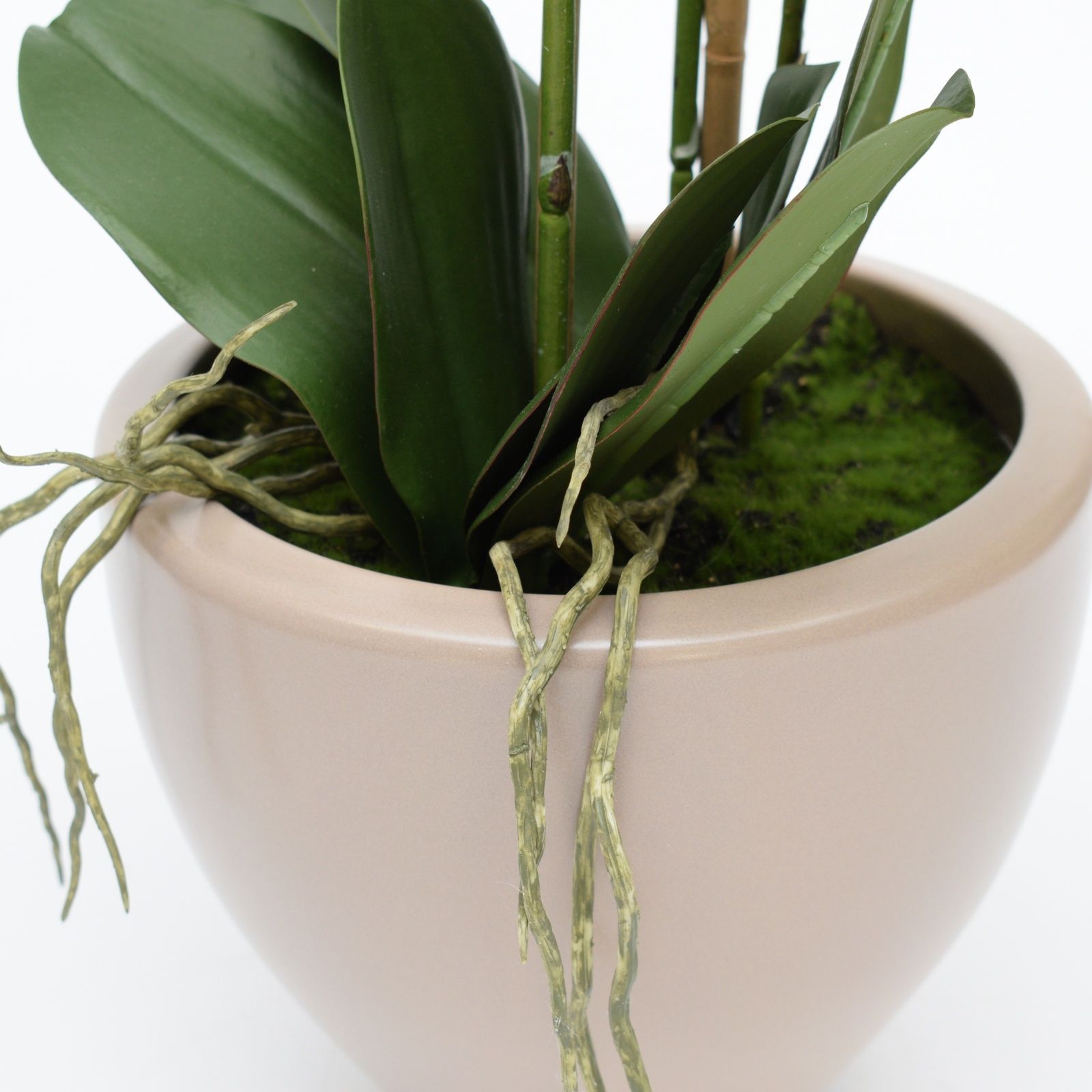 Orhidee artificiala Phalaenopsis crem cu aspect 100% natural in vas ceramic, 70 cm