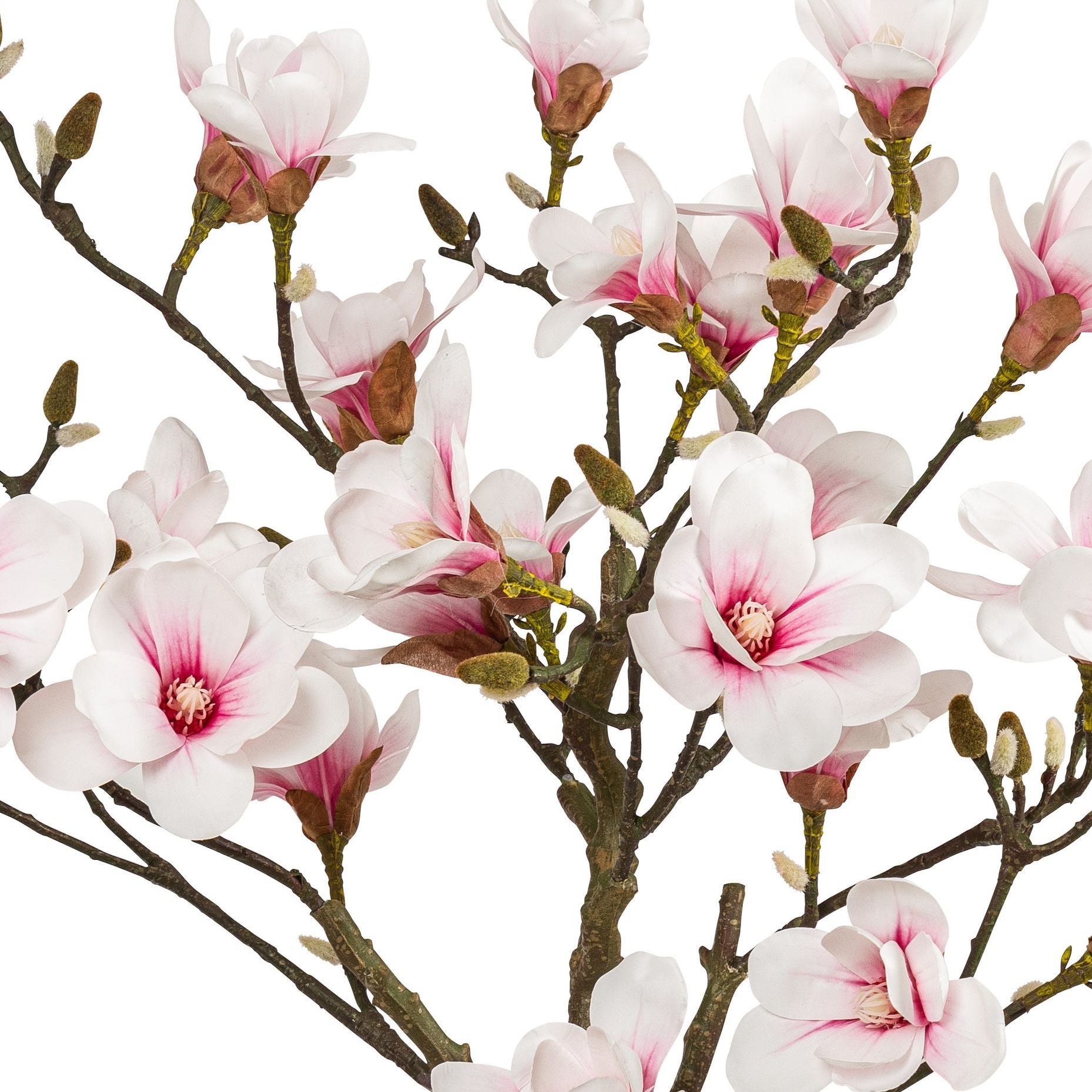 Magnolie artificiala cu flori albe-roz in ghiveci, 110 cm