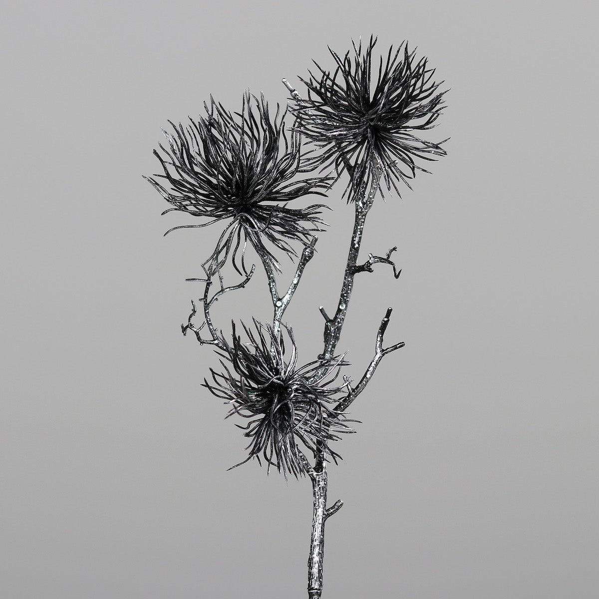 Decoratiune brad, crenguta de Nucul vrajitoarelor, negru-argintiu, 56 cm