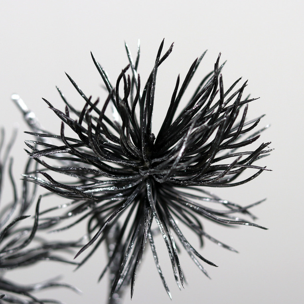 Decoratiune brad, crenguta de Nucul vrajitoarelor, negru-argintiu, 56 cm