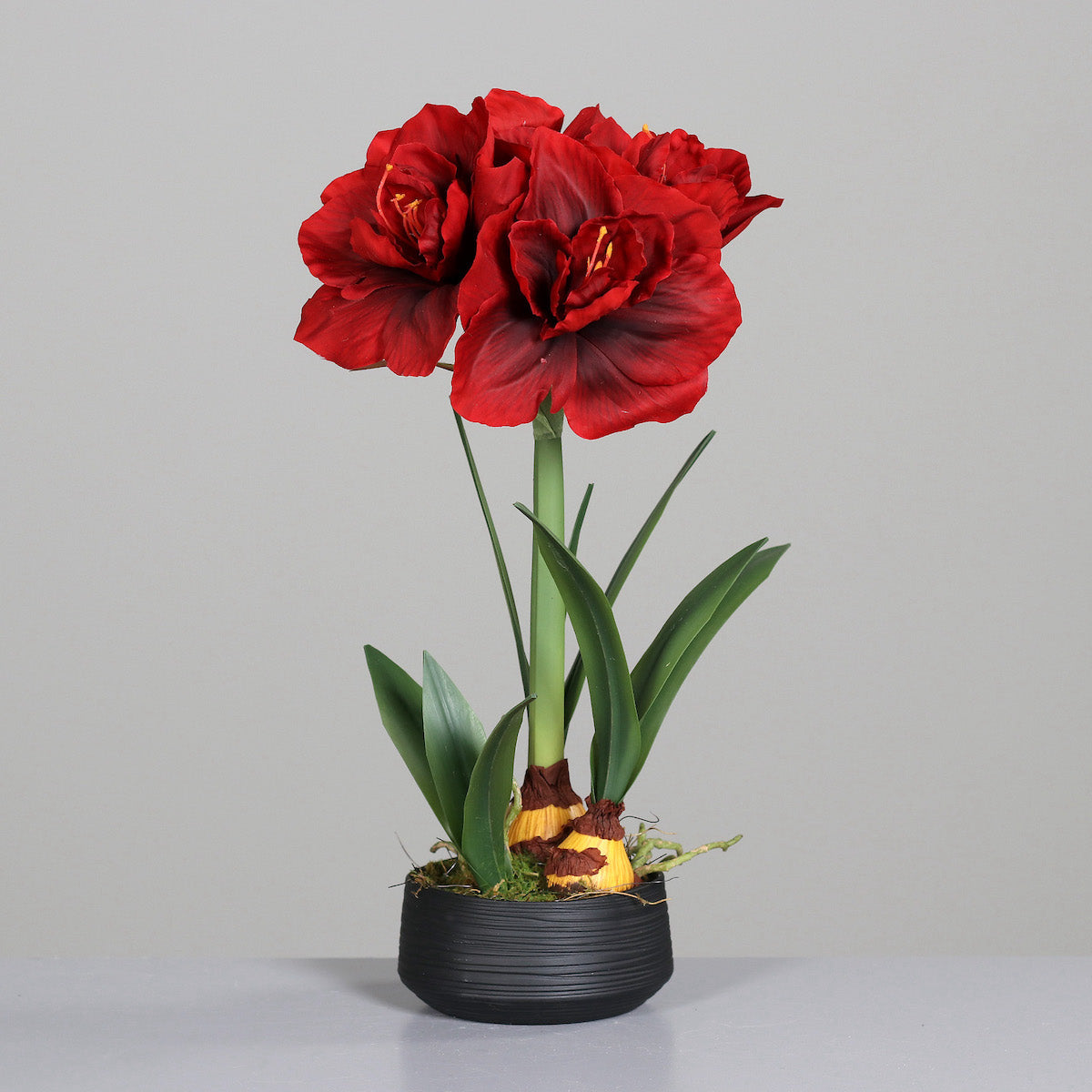 Amaryllis artificiala rosie in vas ceramic gri, 50 cm