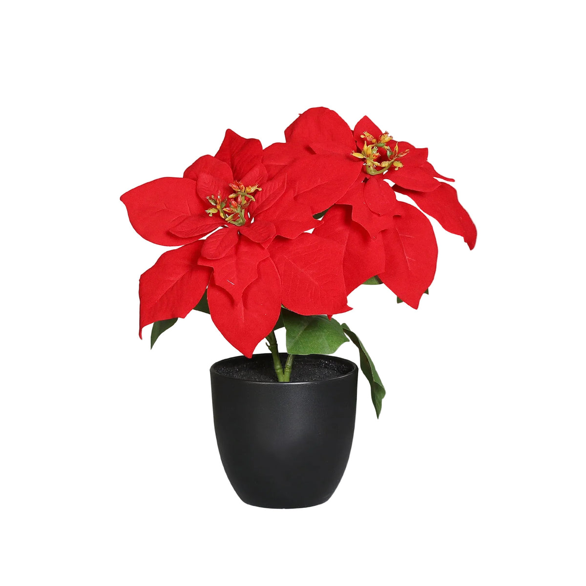Floare artificiala Craciunita rosie in ghiveci de 32 cm pe fundal neutru