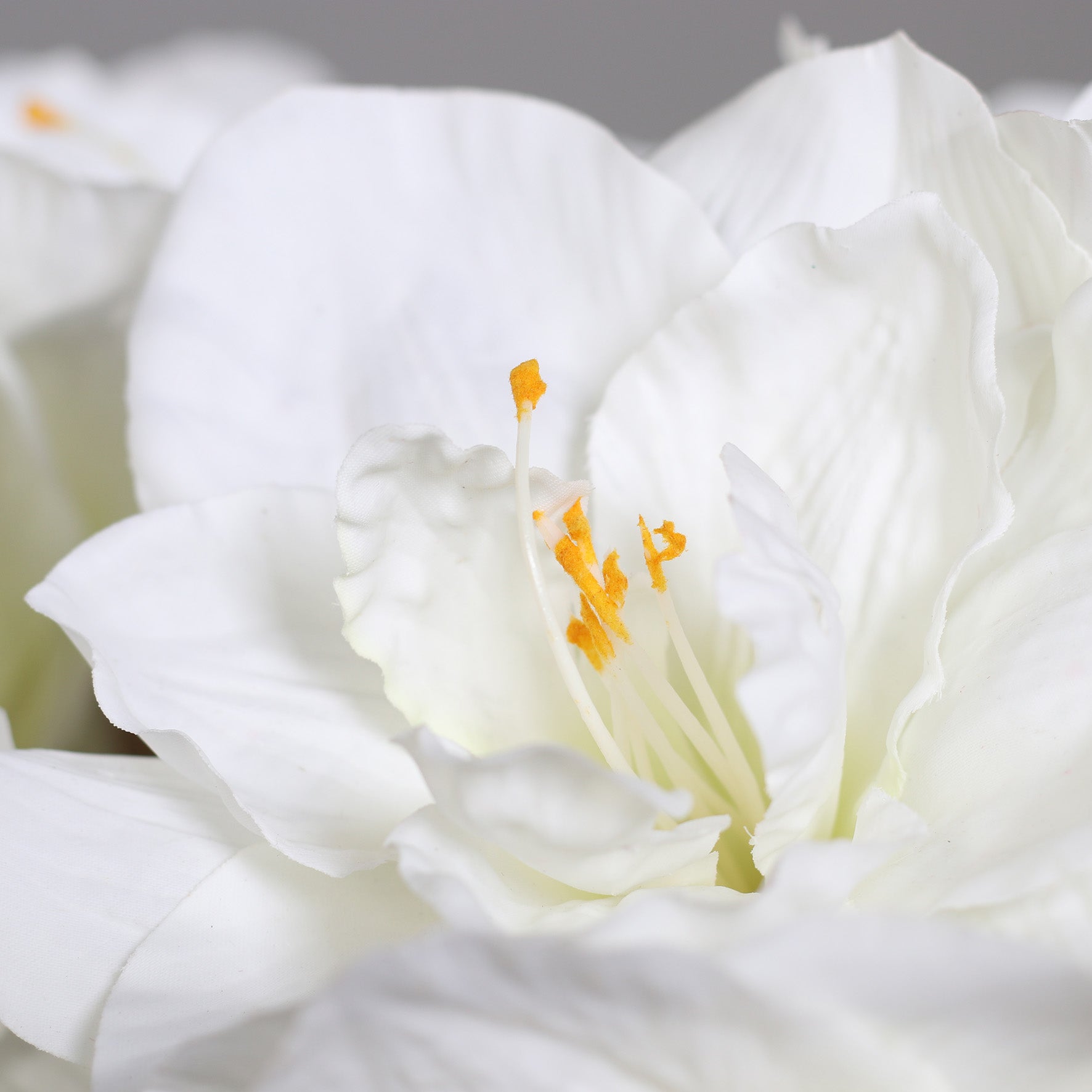 Aranjament premium cu Amaryllis alb in vaza de sticla cu apa artificiala, 50 cm