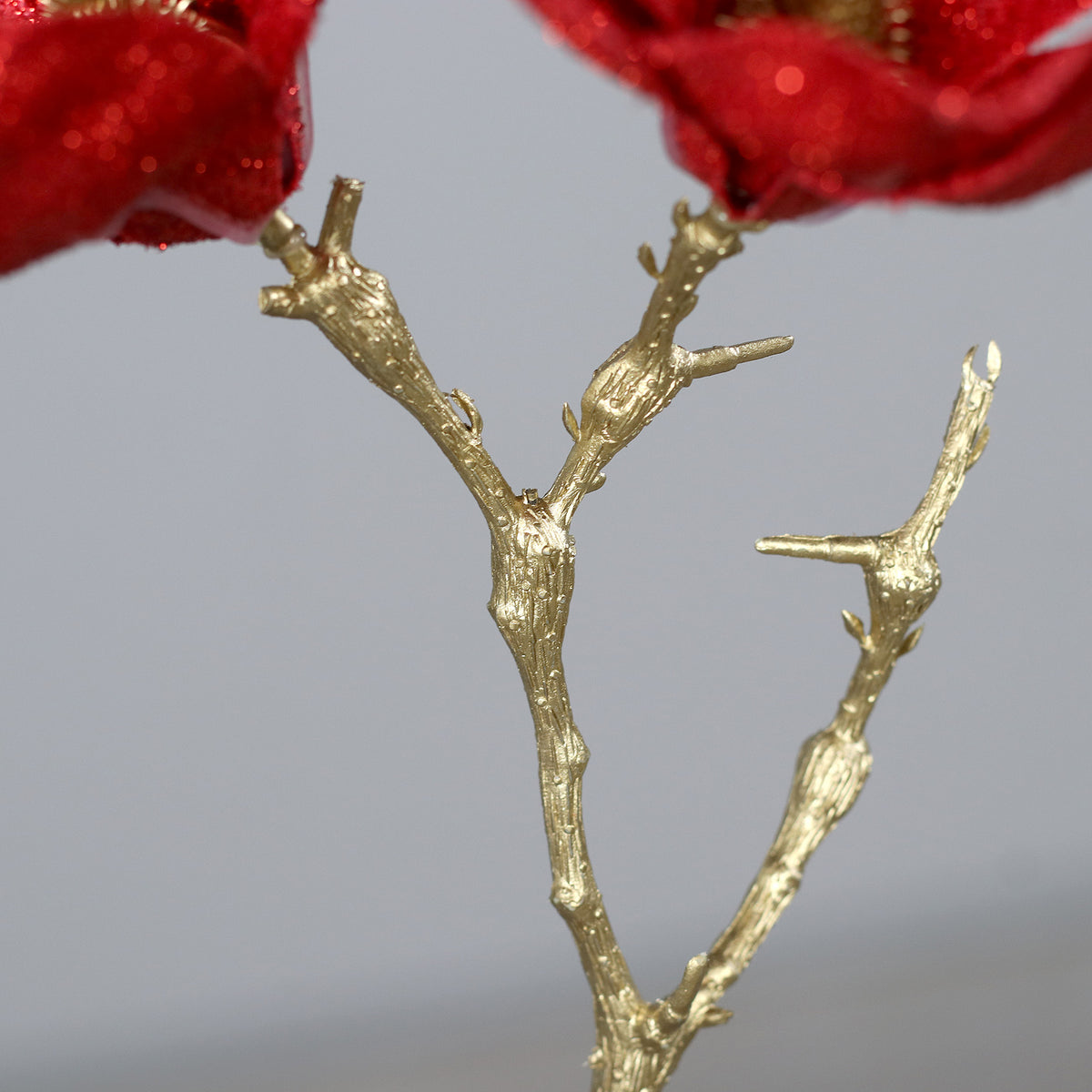 Magnolie rosie fir, 26 cm