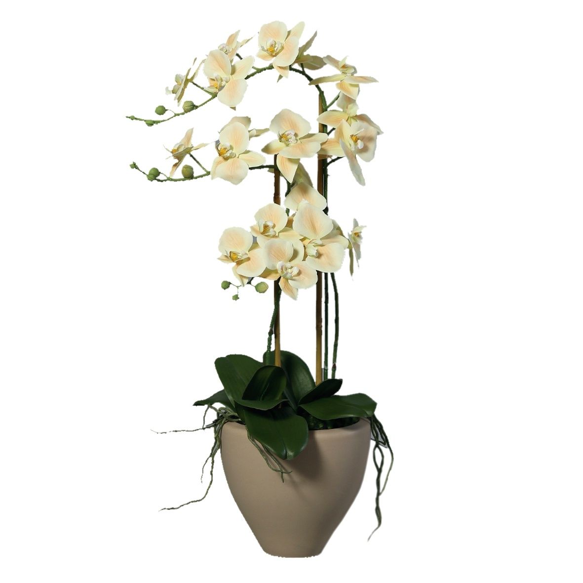 Orhidee artificiala Phalaenopsis crem cu aspect 100% natural in vas ceramic, 70 cm