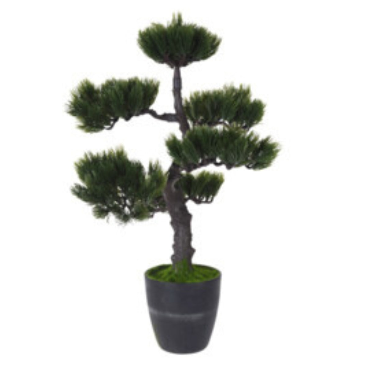 Bonsai artificial pin, in vas inalt negru de plastic 50 cm