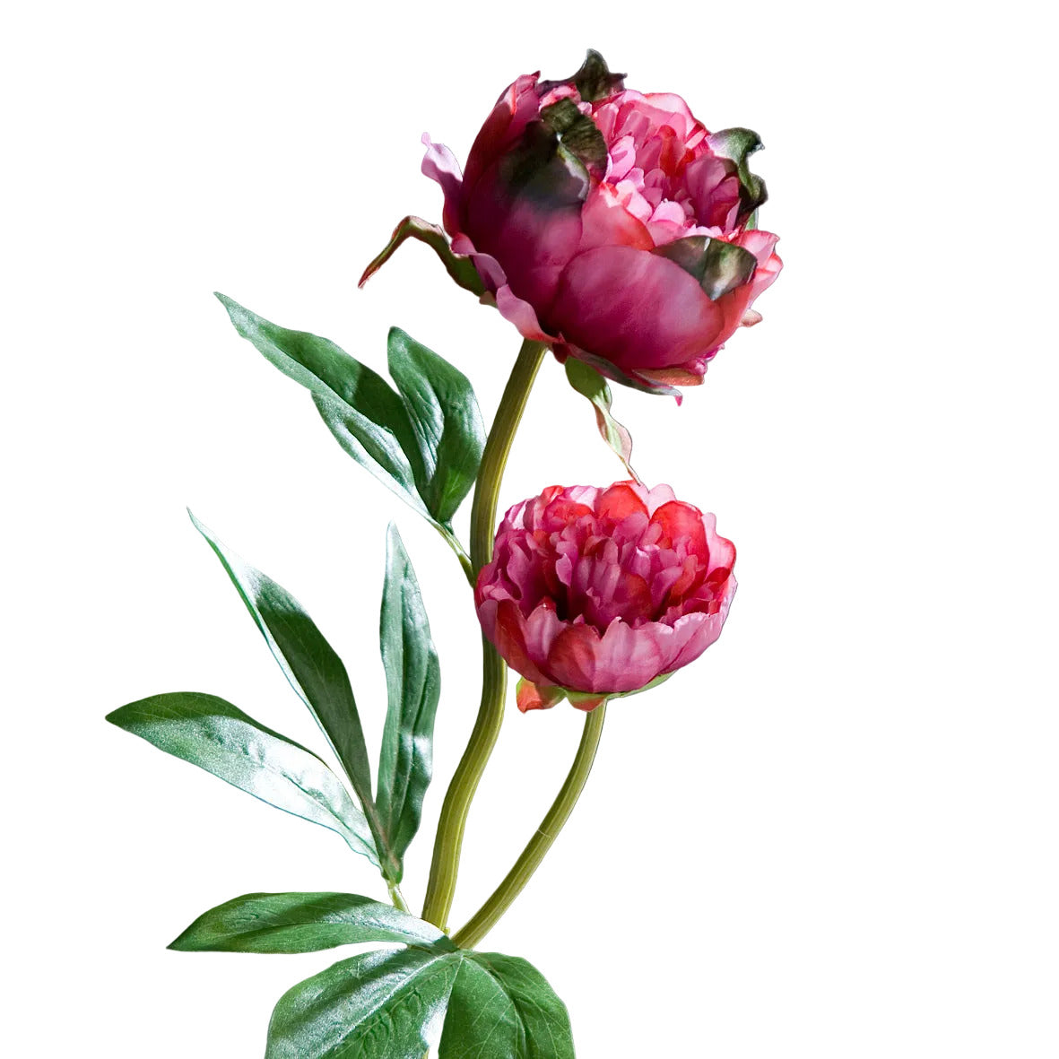 bujor artificial fuchsia cu tulpina verde pe fundal neutru