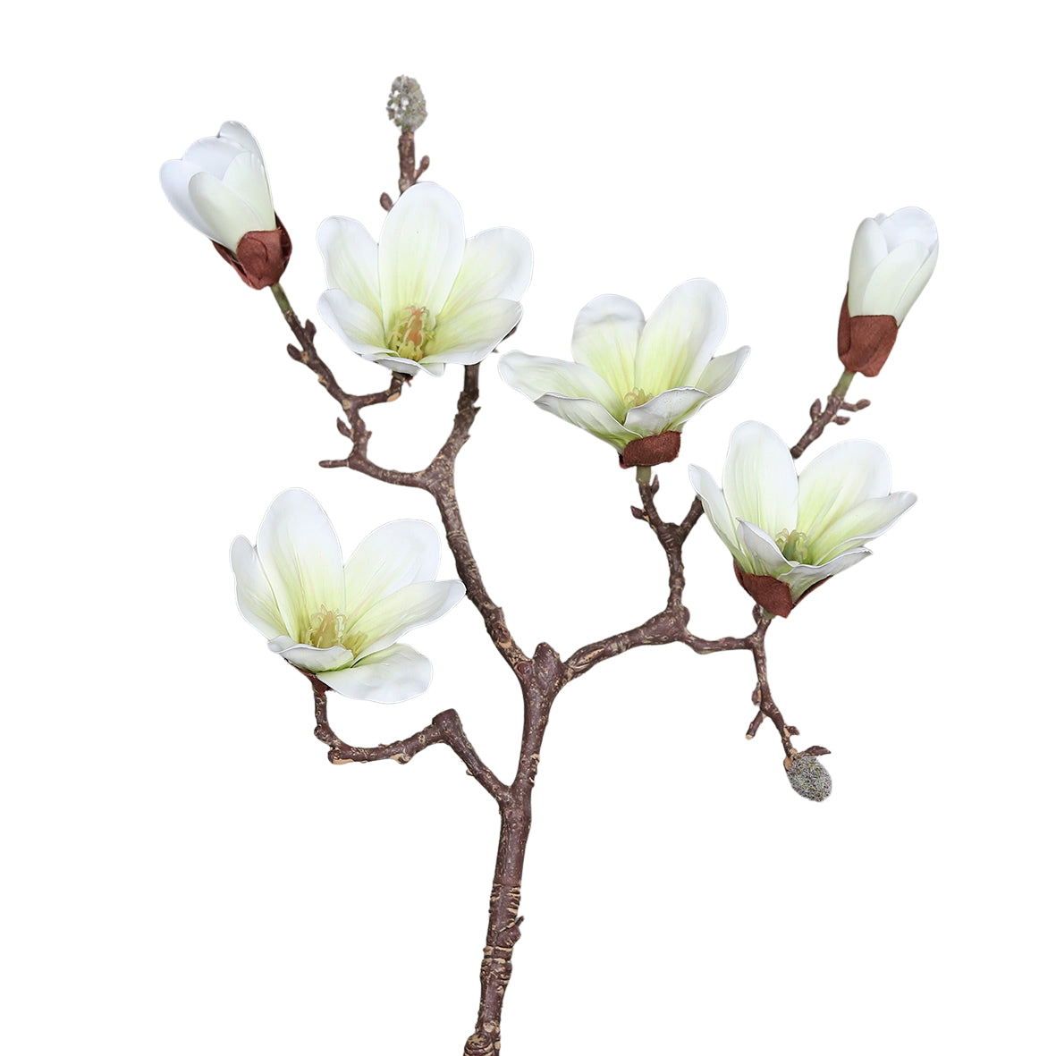 Crenguta de magnolie artificiala cu flori albe deschise si boboci pentru decoratiuni interioare