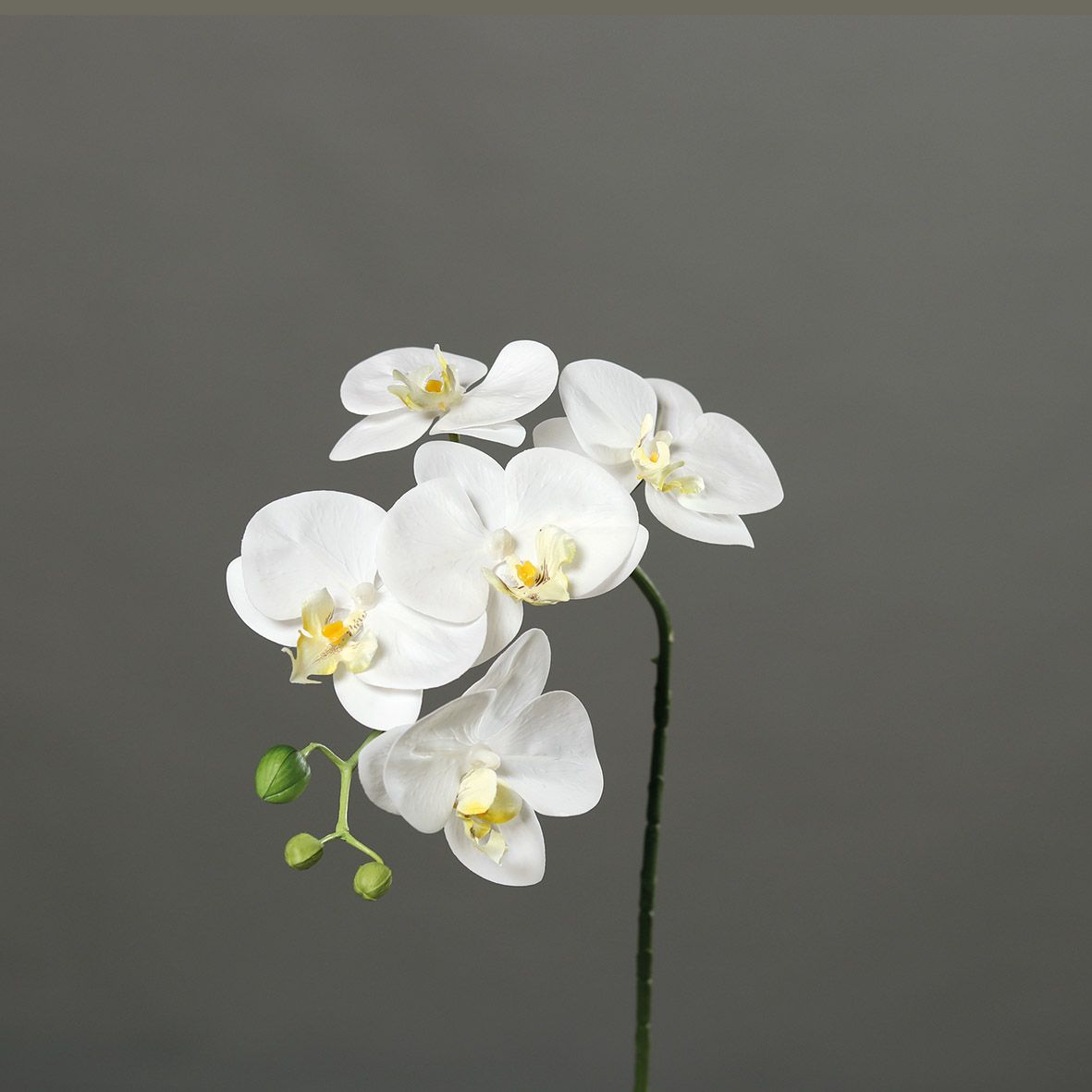 Orhidee artificiala Phalaenopsis alba cu aspect 100% natural, 52 cm