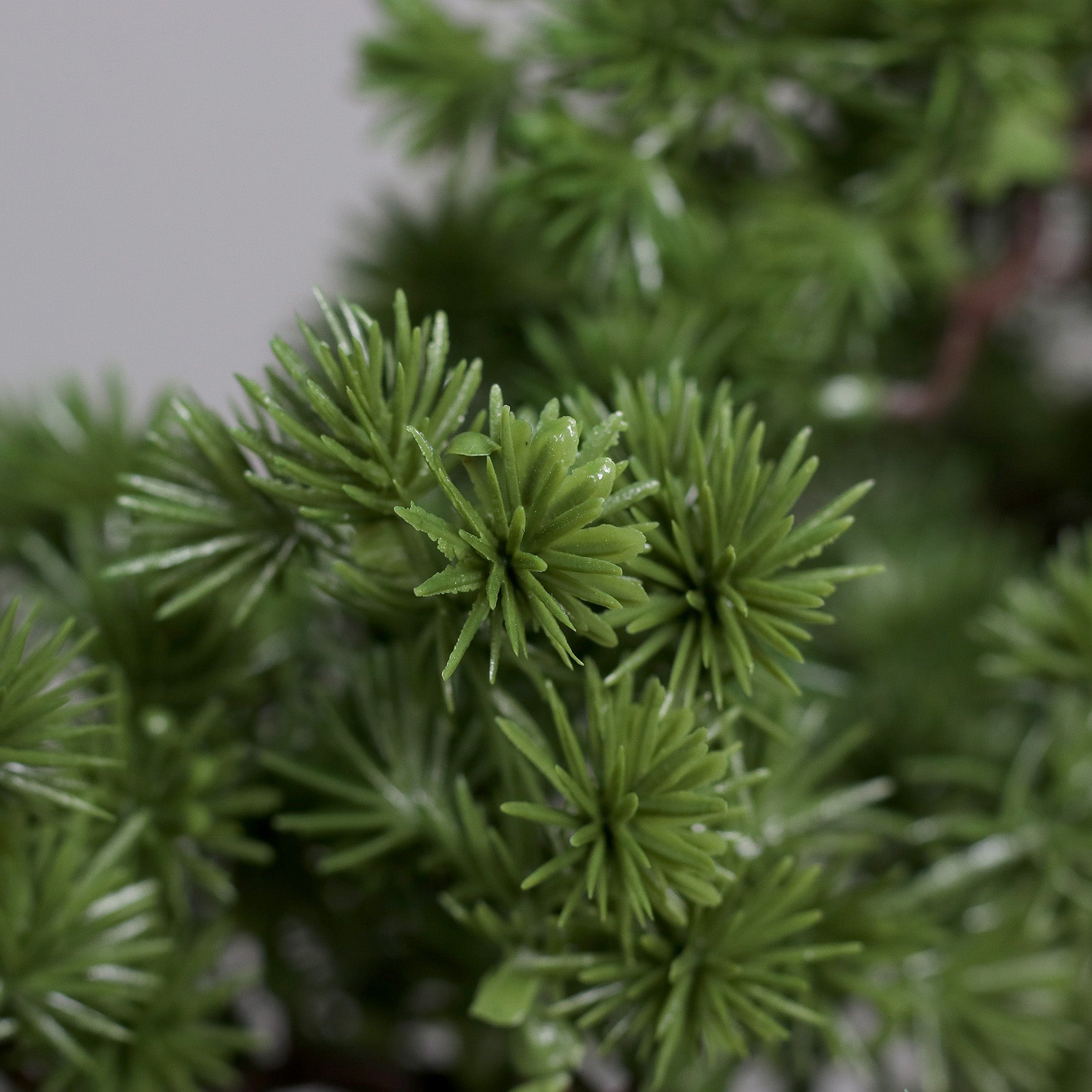 Bonsai artificial in ghiveci negru plastic, 83 cm
