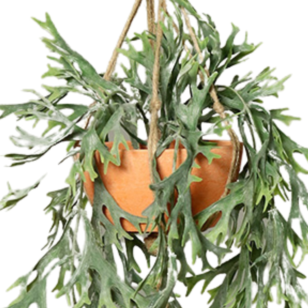 Planta artificiala curgatoare in ghiveci de agatat 75 cm