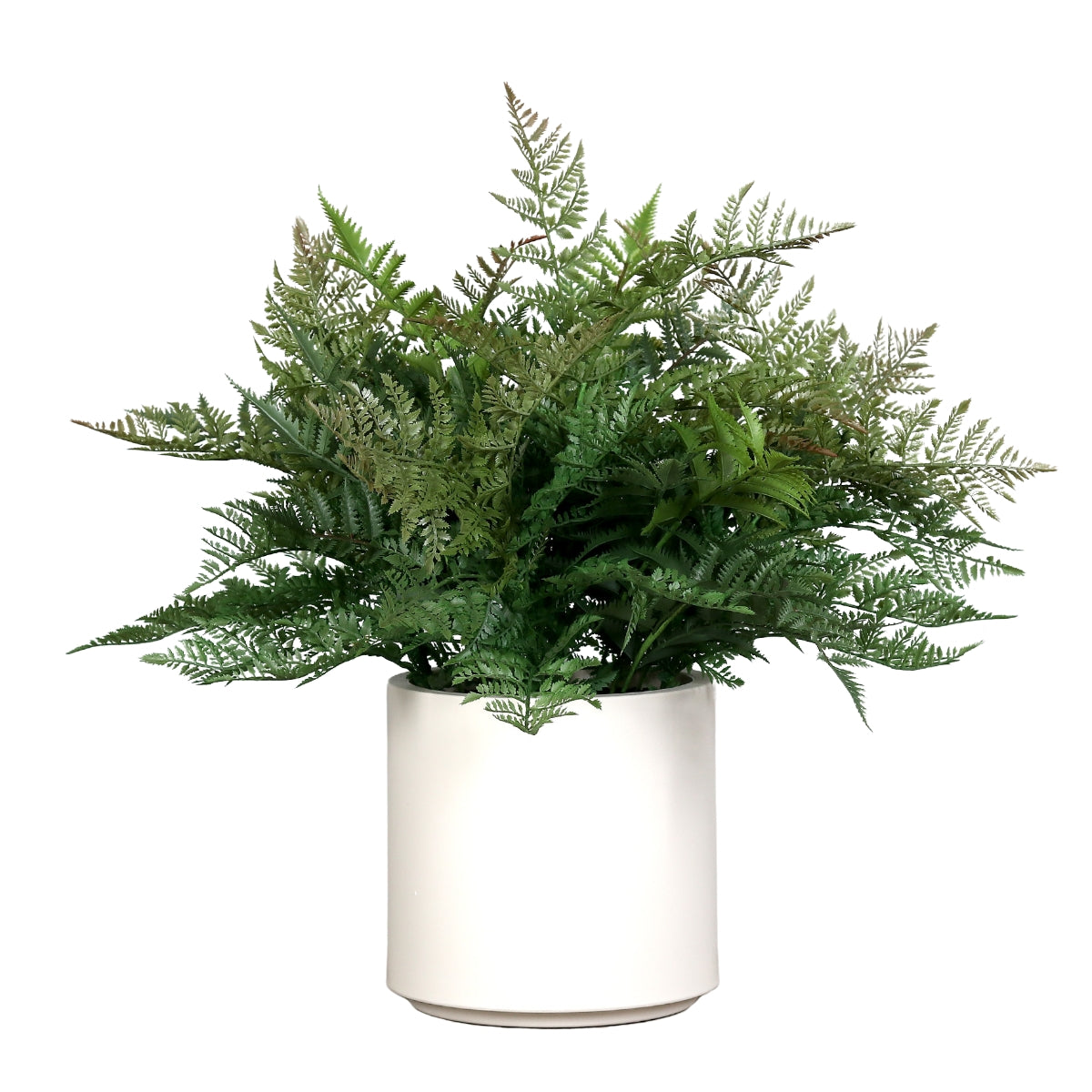 Feriga artificiala in tufa, in vas de plastic alb, 70 cm