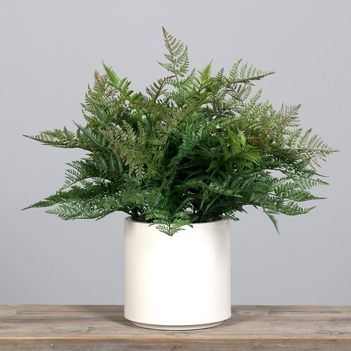 Feriga artificiala in tufa, in vas de plastic alb, 70 cm