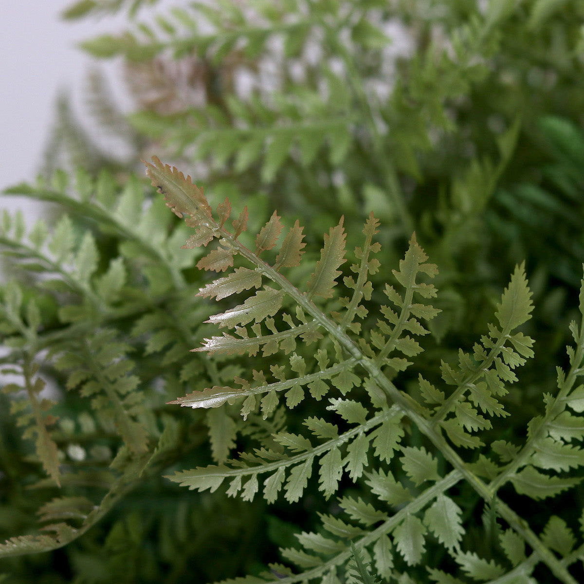 Feriga artificiala in tufa, in vas de plastic alb, 70 cm