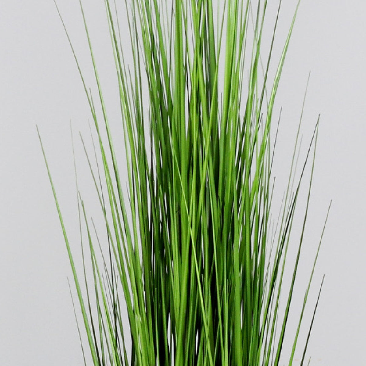 Iarba artificiala ornamentala in ghiveci de plastic, 150 cm