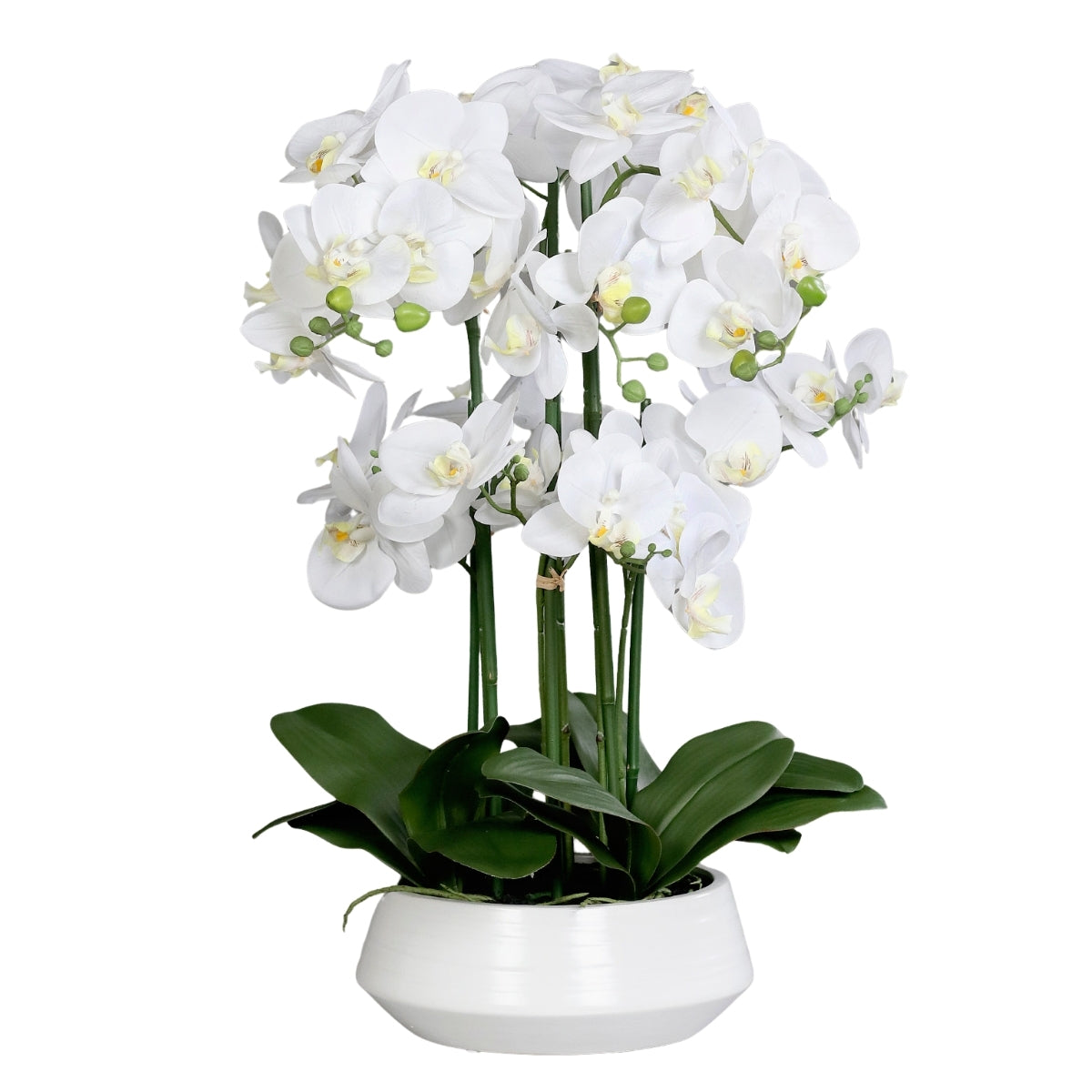 Aranjament cu orhidee artificiala alba in vas ceramic, 70 cm