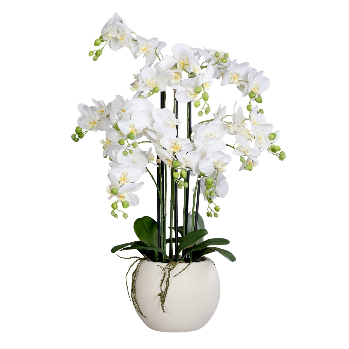 Aranjament cu orhidee artificiala alba in vas de plastic, 85 cm