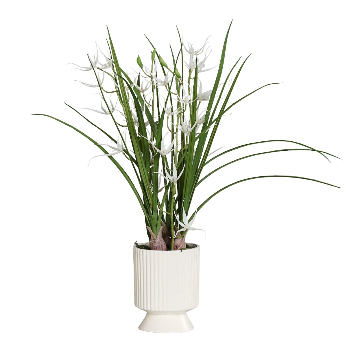 Aranjament cu orhidee artificiala Spider alba in vas ceramic, 67 cm