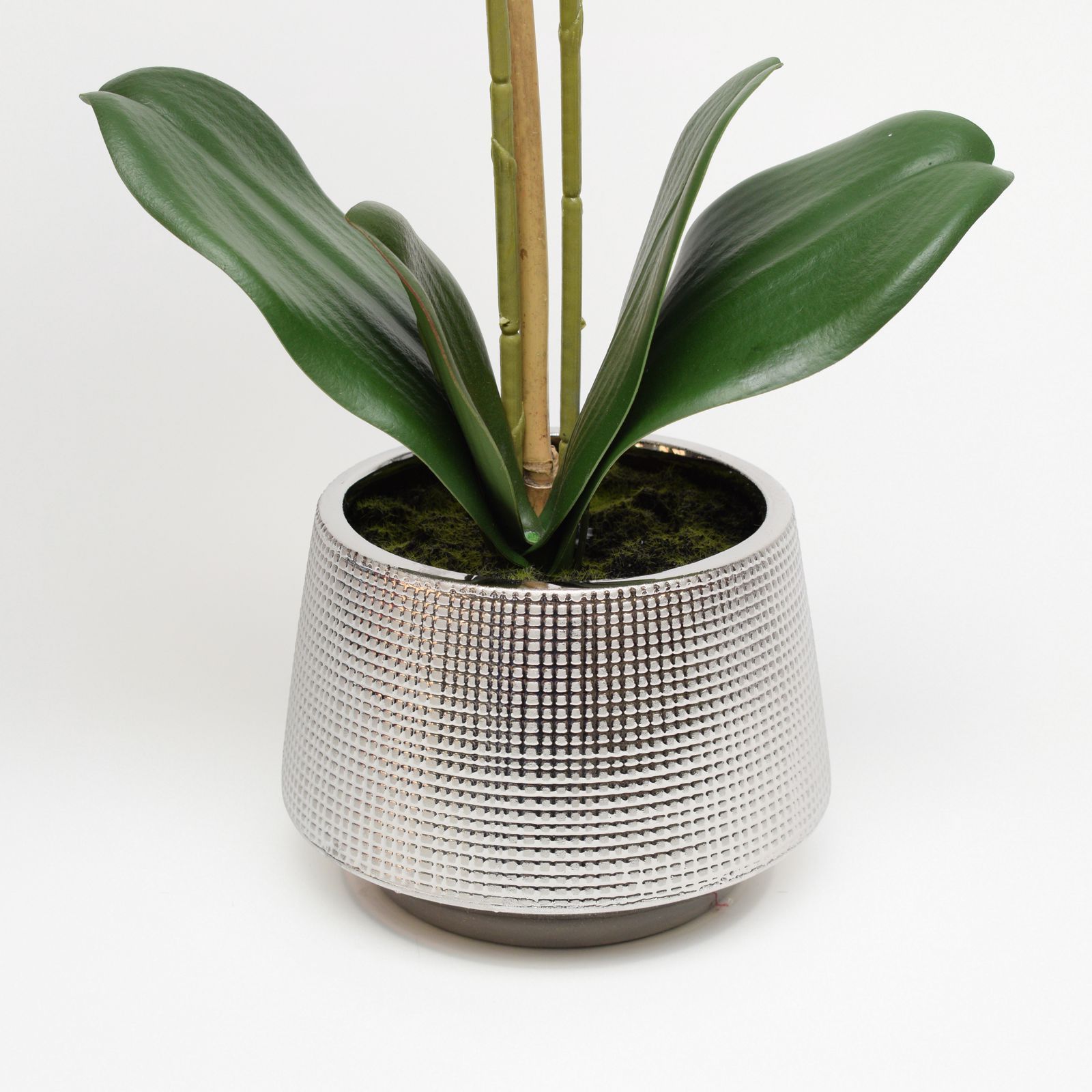 Orhidee artificiala Phalaenopsis alb-rosu in vas ceramic, 60 cm