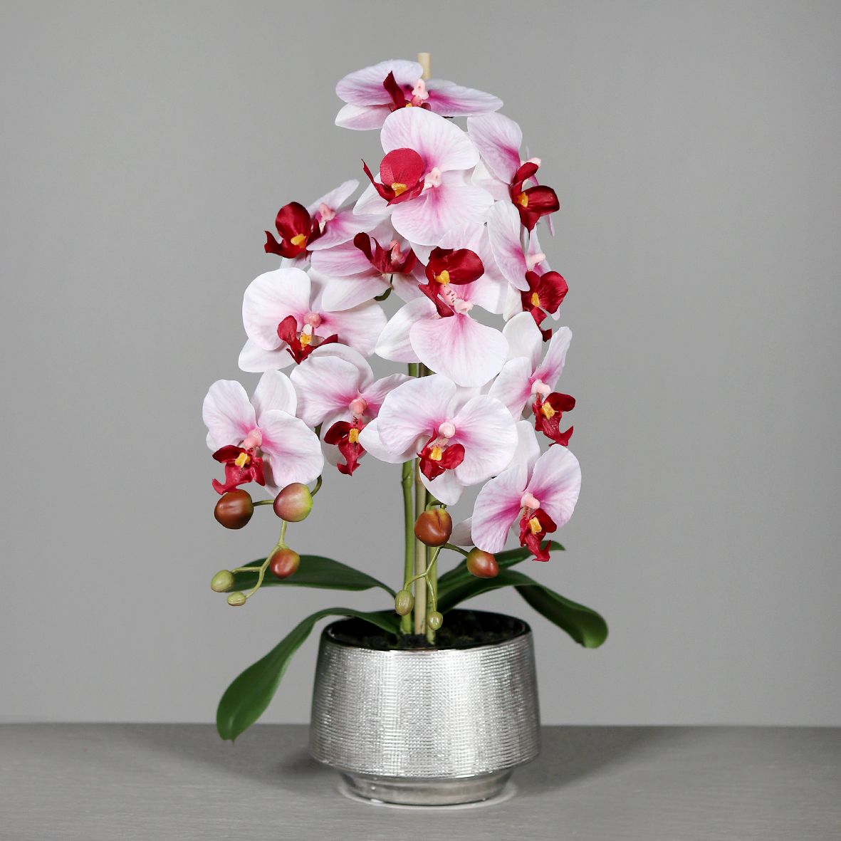 Orhidee artificiala Phalaenopsis alb-rosu in vas ceramic, 60 cm