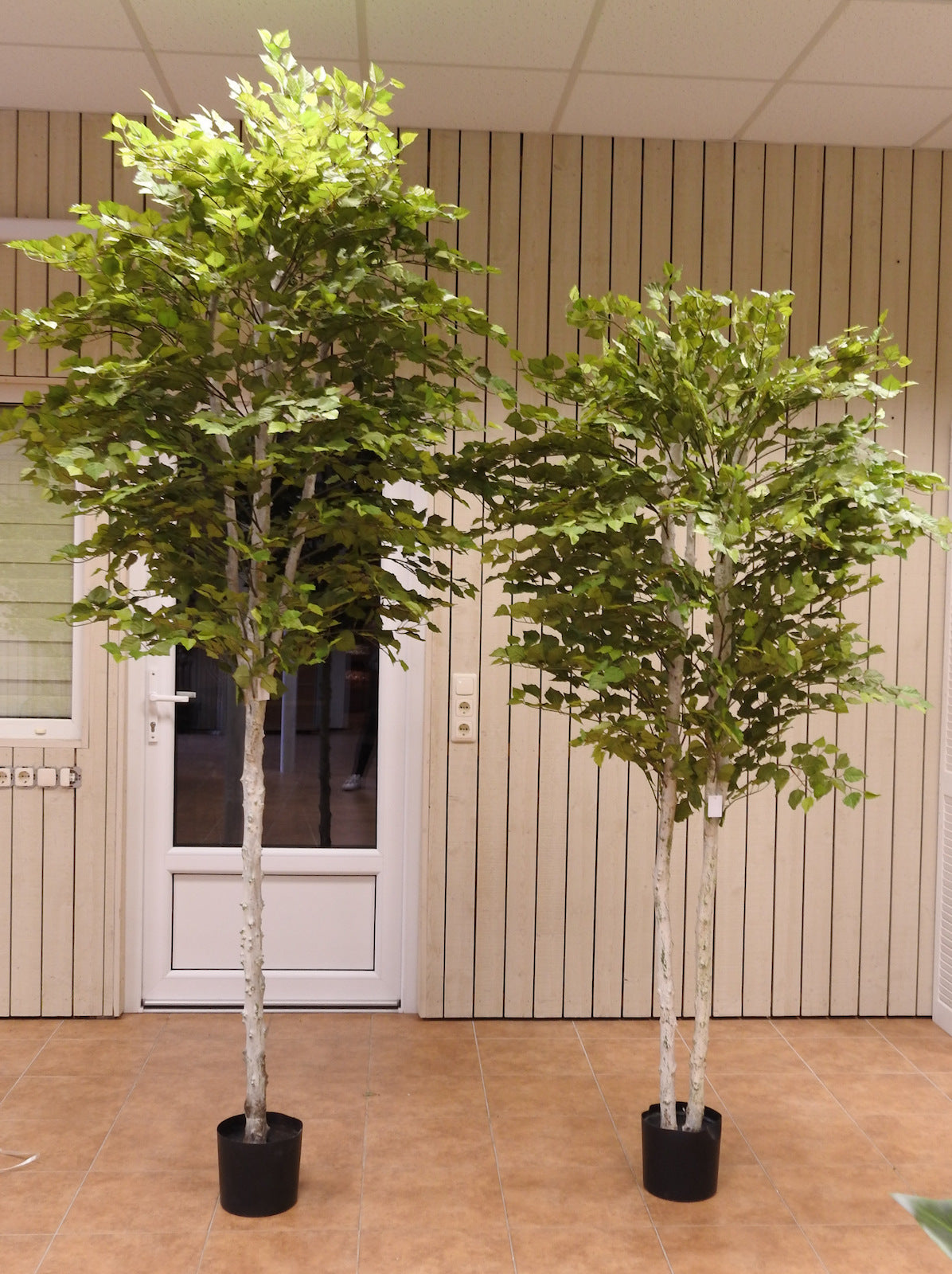 Planta decorativa artificiala Mesteacan in ghiveci 260 cm
