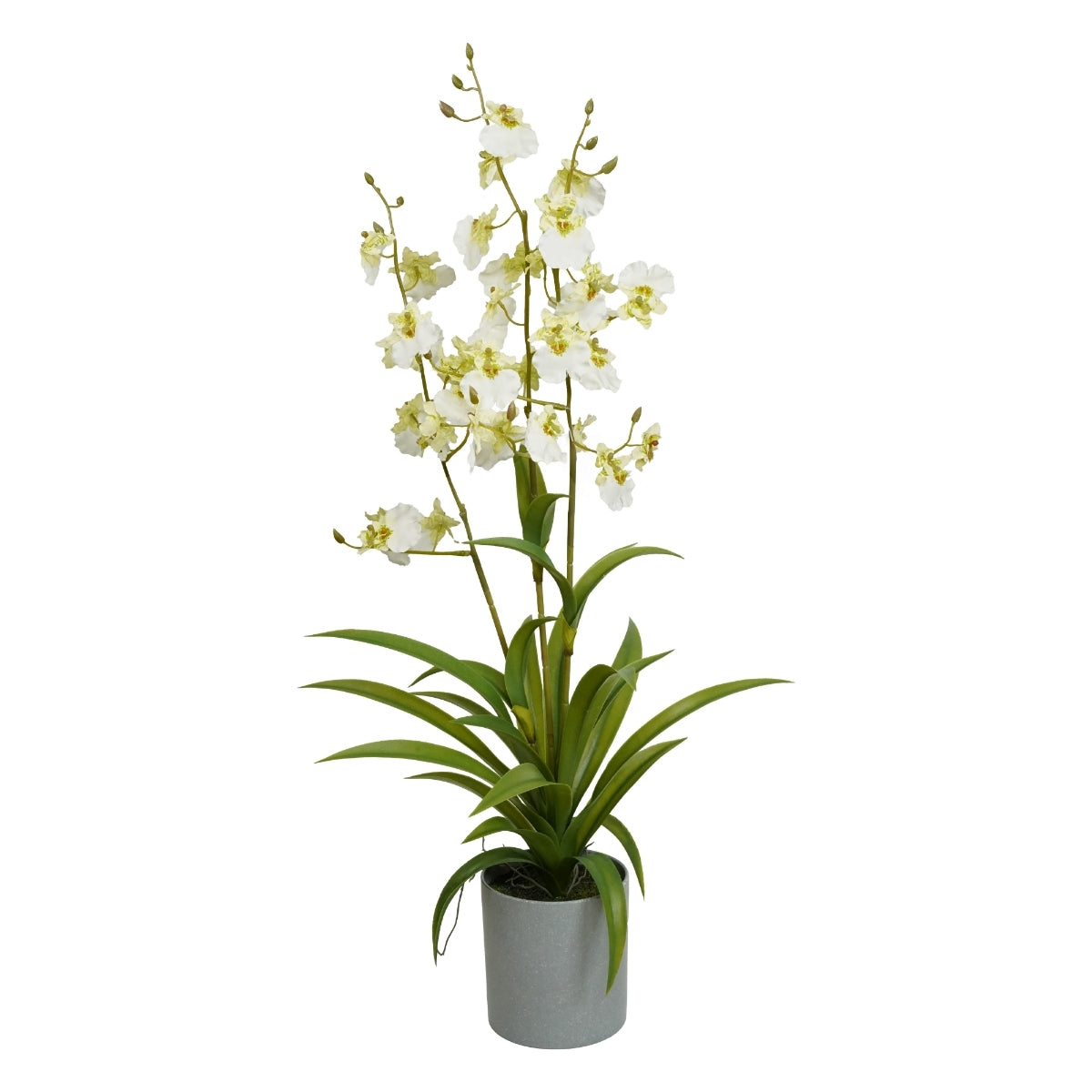 Orhidee artificiala Oncidium alba cu 3 fire, in vas de plastic, 70 cm
