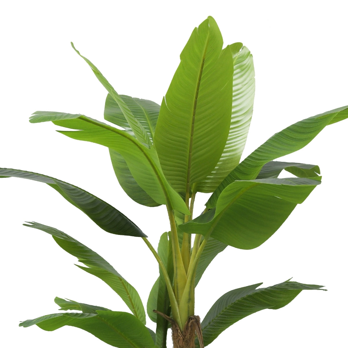 Planta decorativa artificiala bananier in ghiveci de plastic, 200 cm