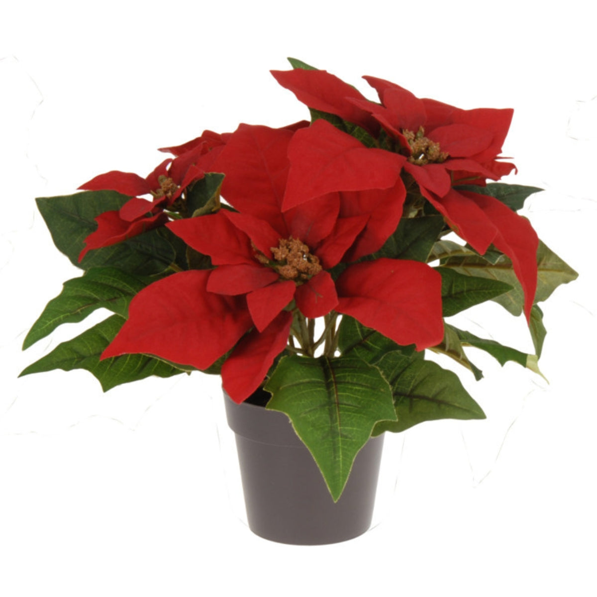 Floare artificiala Craciunita rosie cu aspect catifelat in ghiveci de douazeci si cinci centimetri pentru decor de Craciun