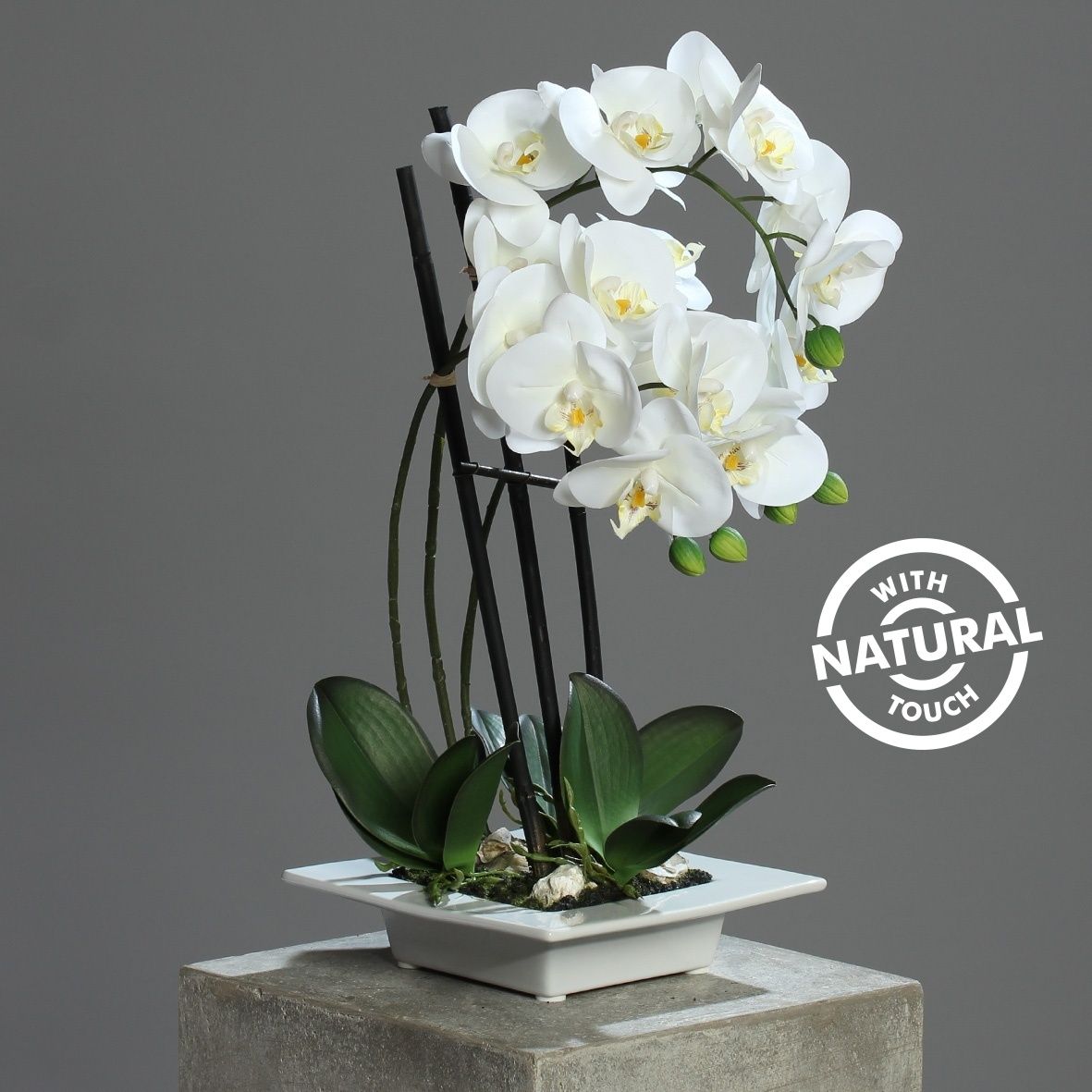 Orhidee artificiala Phalaenopsis Fresh alba cu aspect 100% natural in vas ceramic , 46 cm