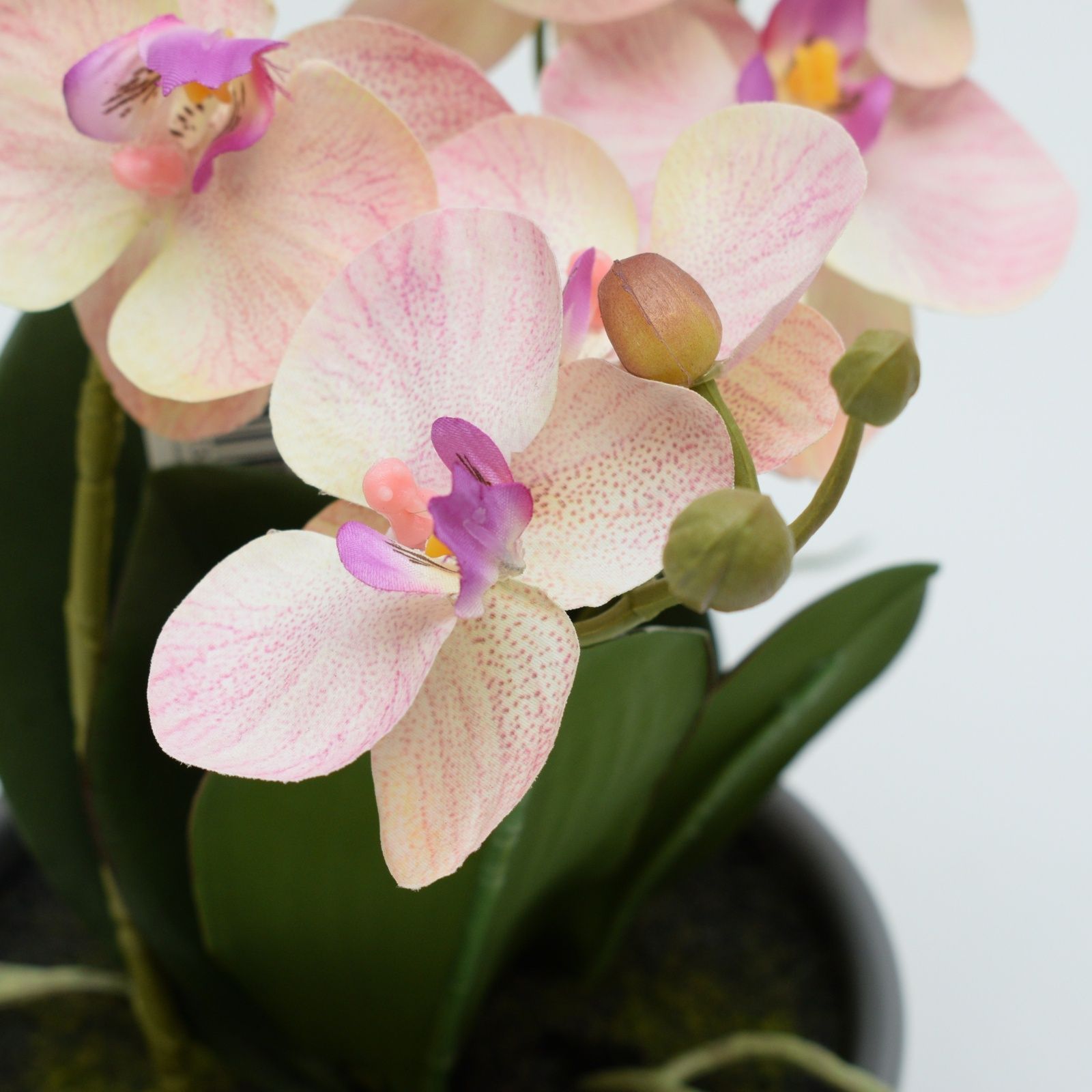 Orhidee artificiala Phalaenopsis roz deschis in vas ceramic, 35 cm