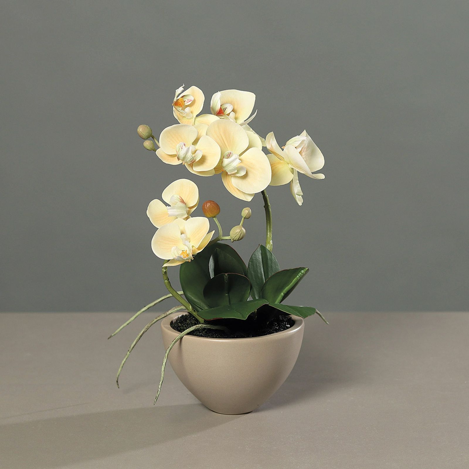 Orhidee artificiala Phalaenopsis crem in vas ceramic, 30 cm