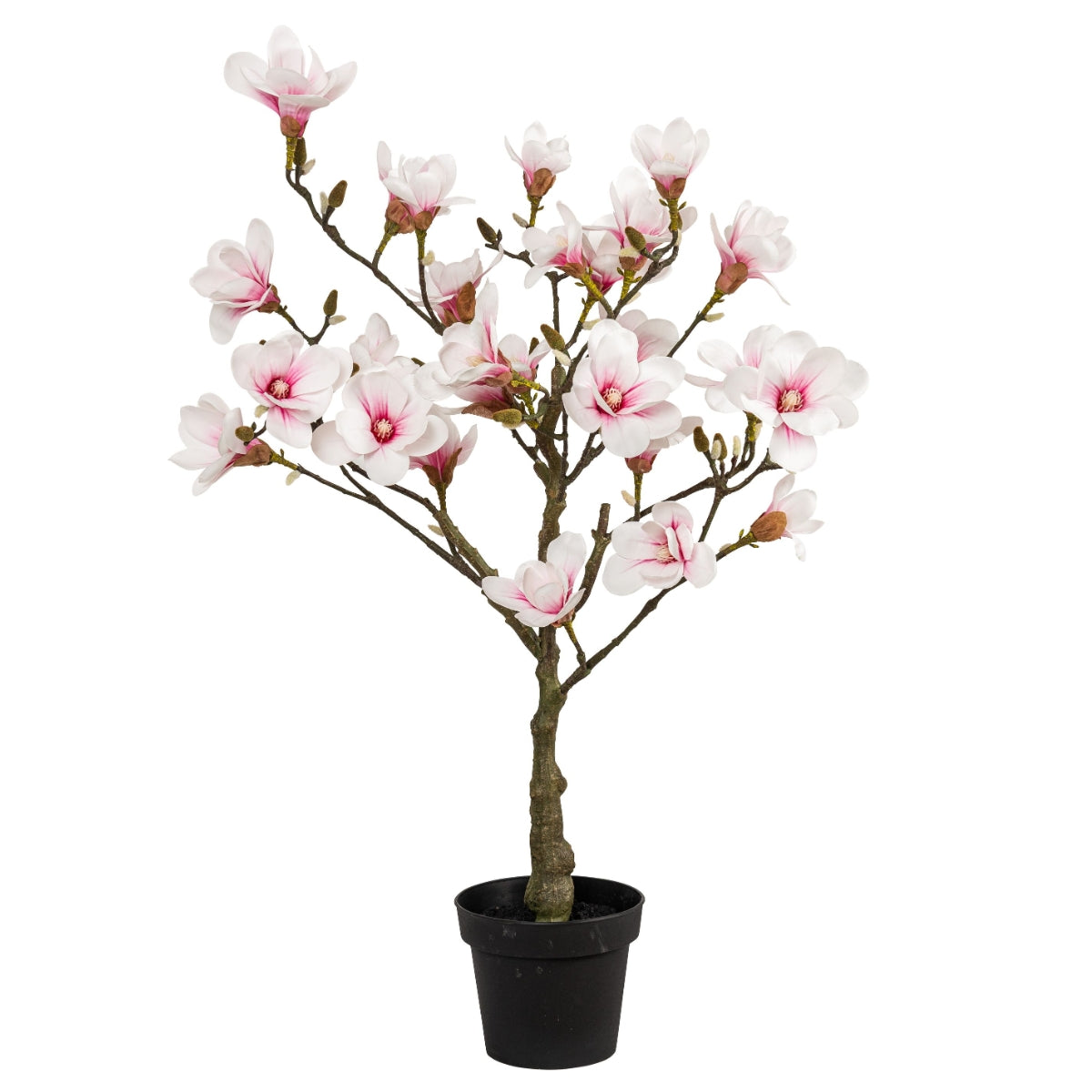 Magnolie artificiala cu flori albe si roz in ghiveci negru de plastic inaltime o suta zece centimetri