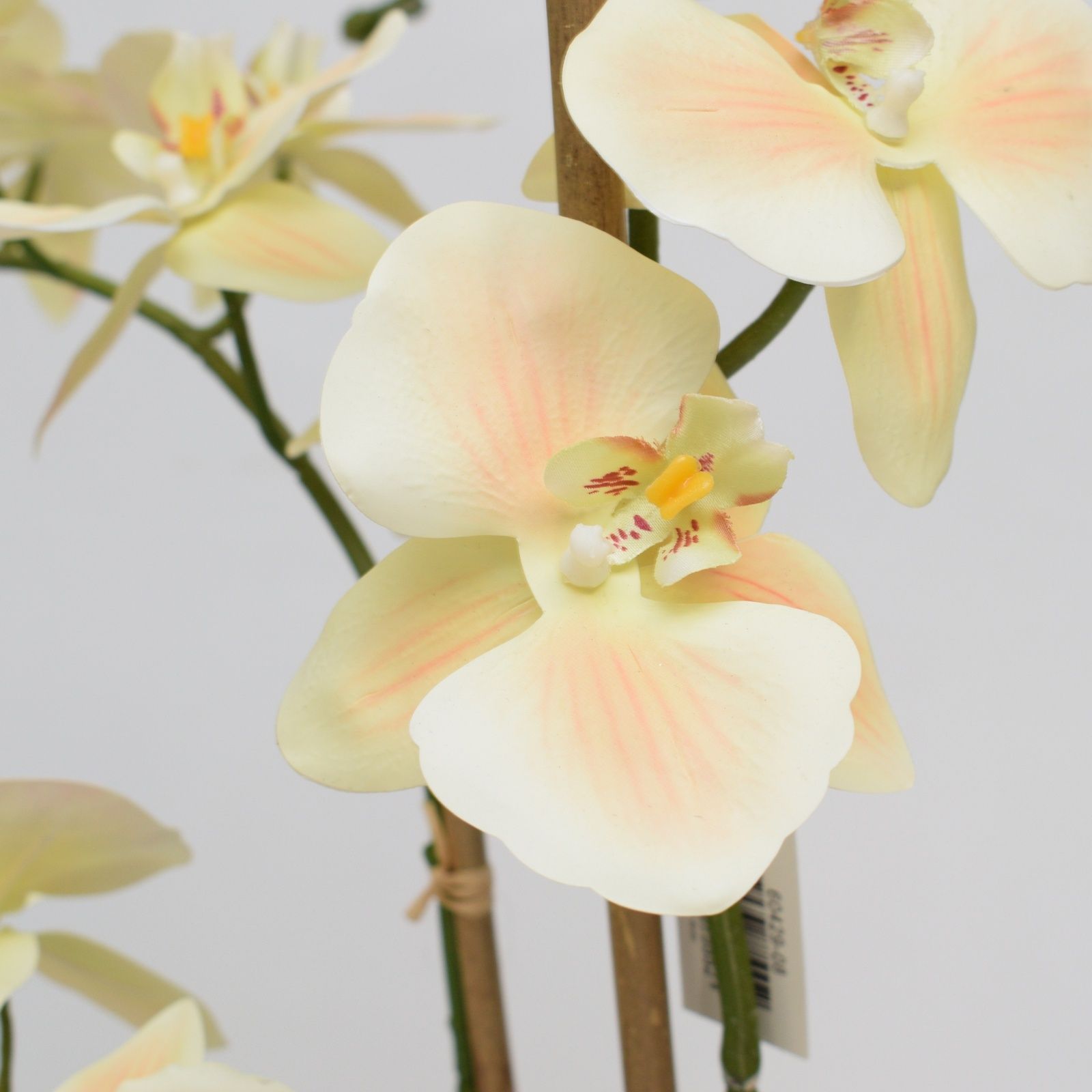 Orhidee artificiala Phalaenopsis crem  cu aspect 100% natural in vas ceramic, 70 cm