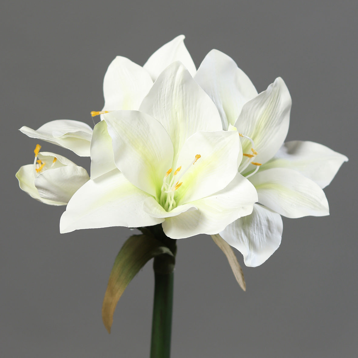 Amaryllis artificial la fir, alb, 56 cm