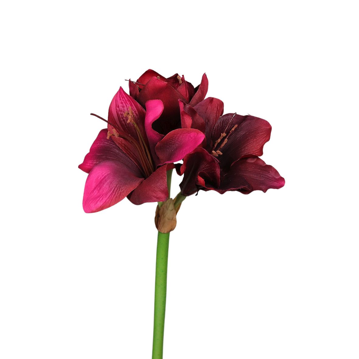 Floare artificiala amaryllis de culoare burgundy cu tija lunga de cincizeci centimetri