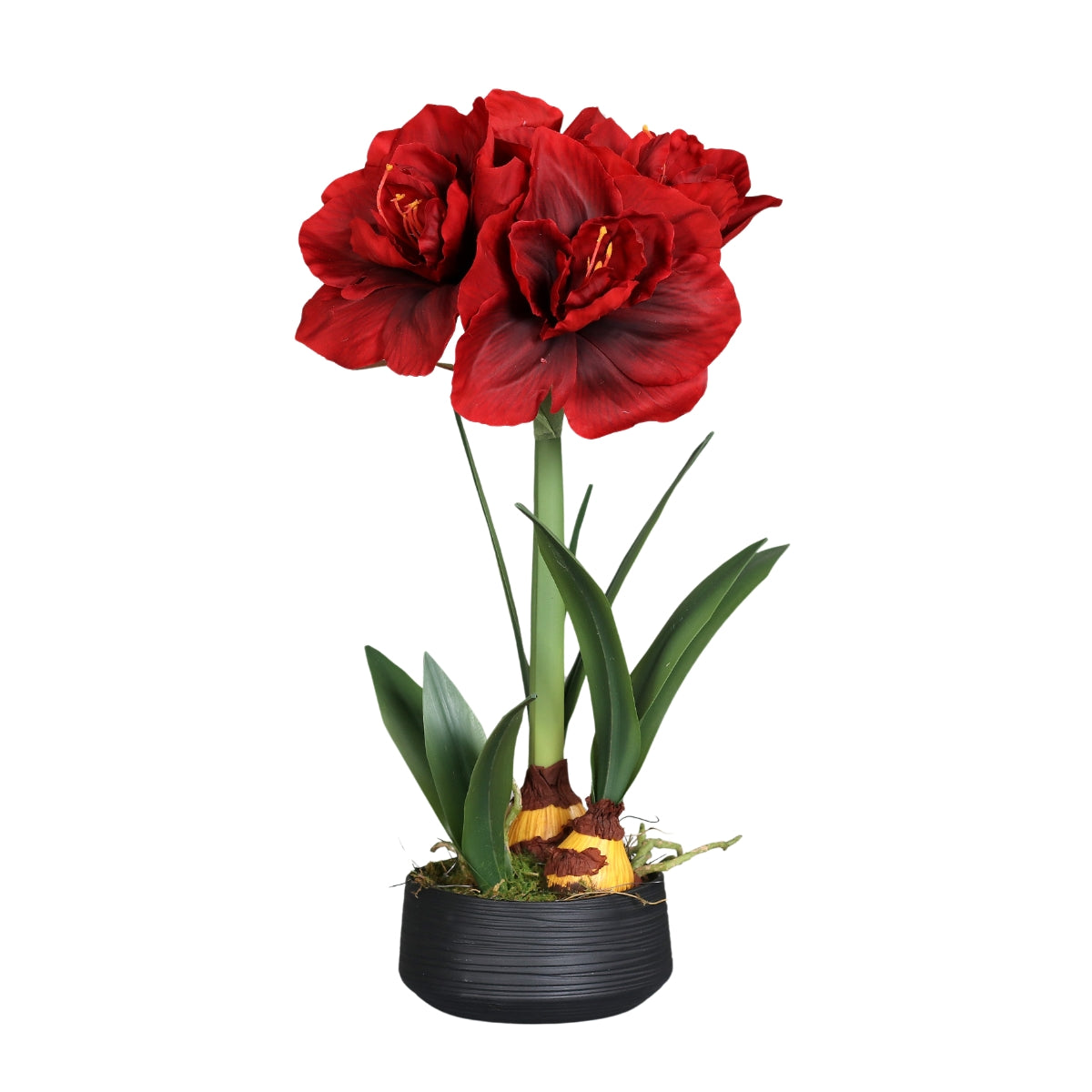 Floare artificiala amaryllis de culoare rosie in vas ceramic rotund de culoare gri de cincizeci centimetri inaltime