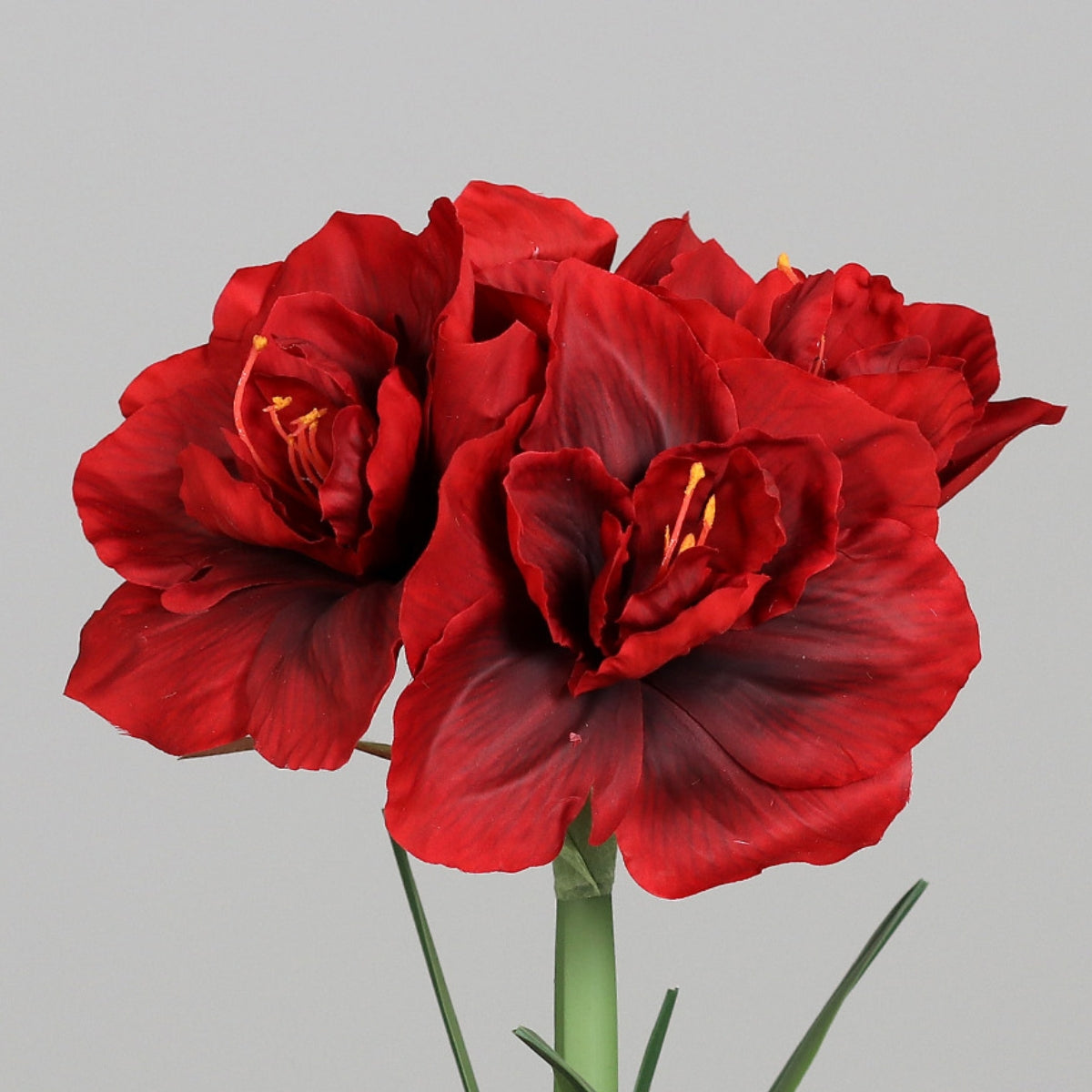 Amaryllis artificiala rosie in vas ceramic gri, 50 cm