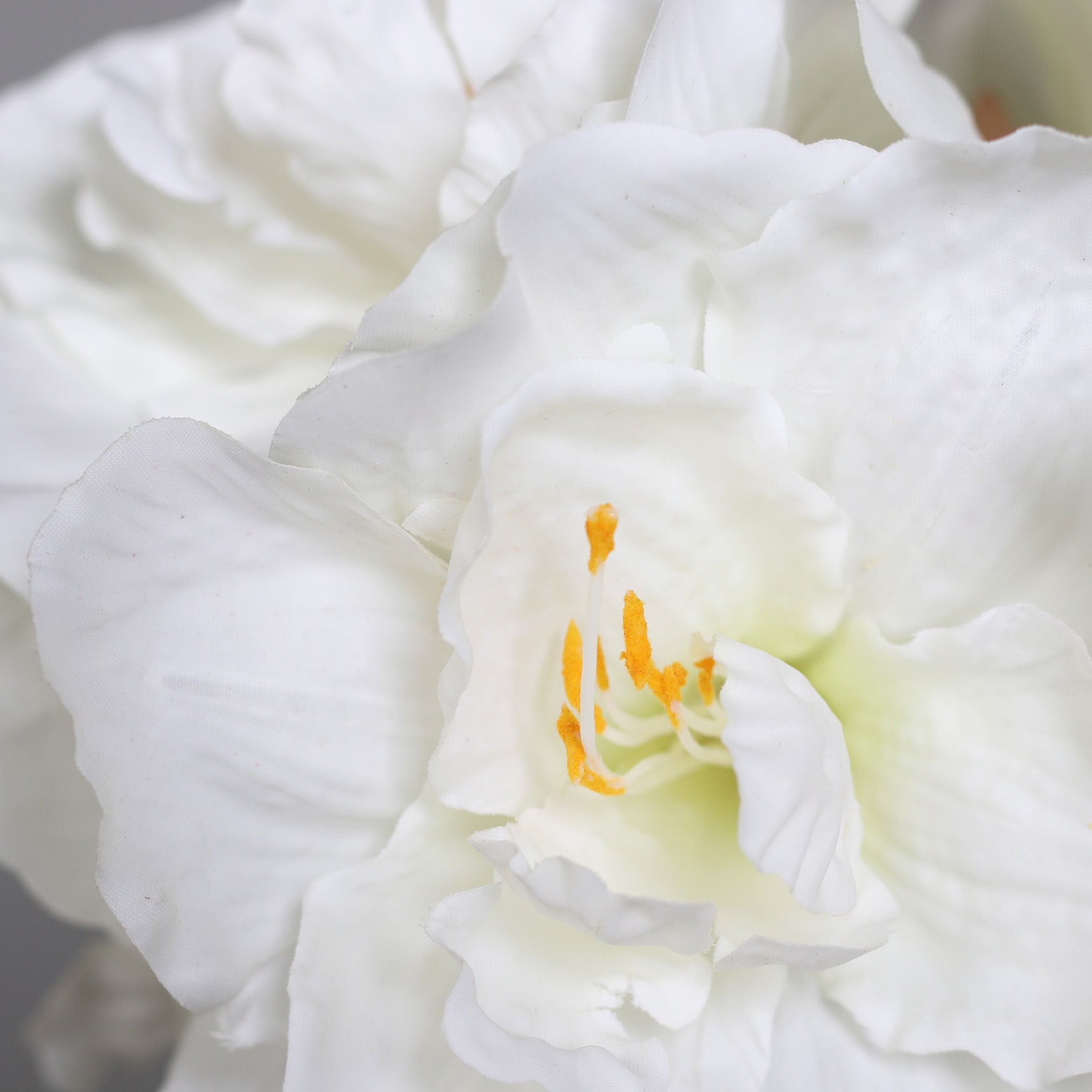 Aranjament premium cu Amaryllis alb in vaza de sticla cu apa artificiala, 50 cm