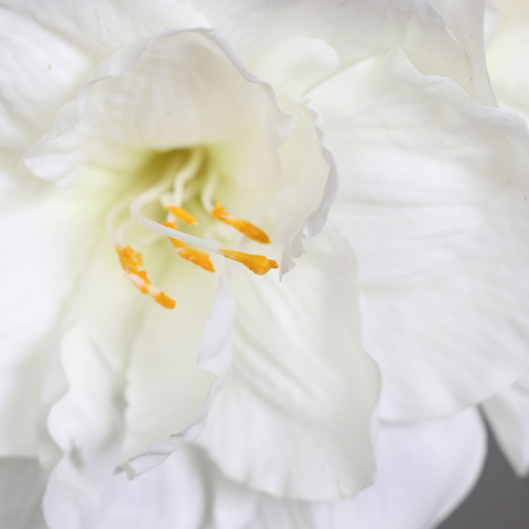 Aranjament premium cu Amaryllis alb in vaza de sticla cu apa artificiala, 50 cm