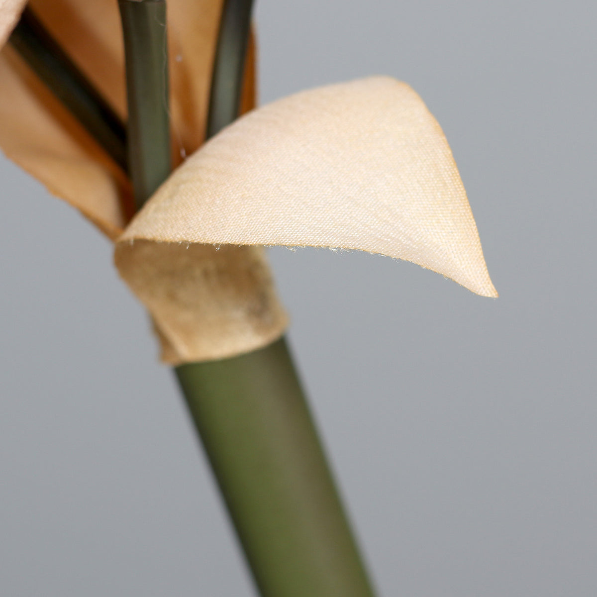 Amaryllis auriu fir, 58 cm