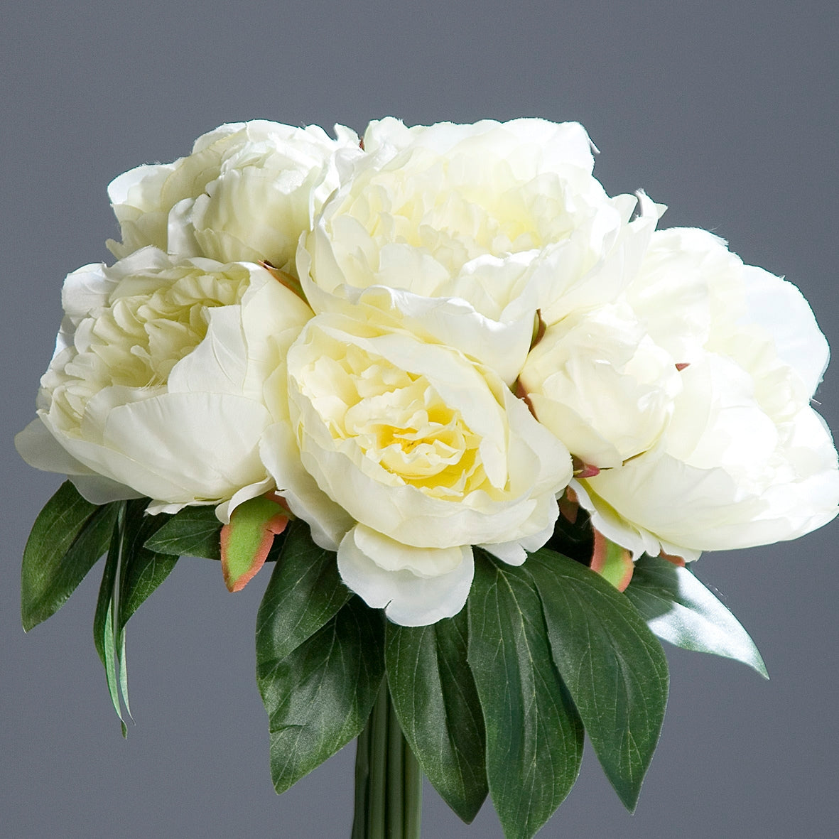 Buchet artificial bujori crem, 30 cm