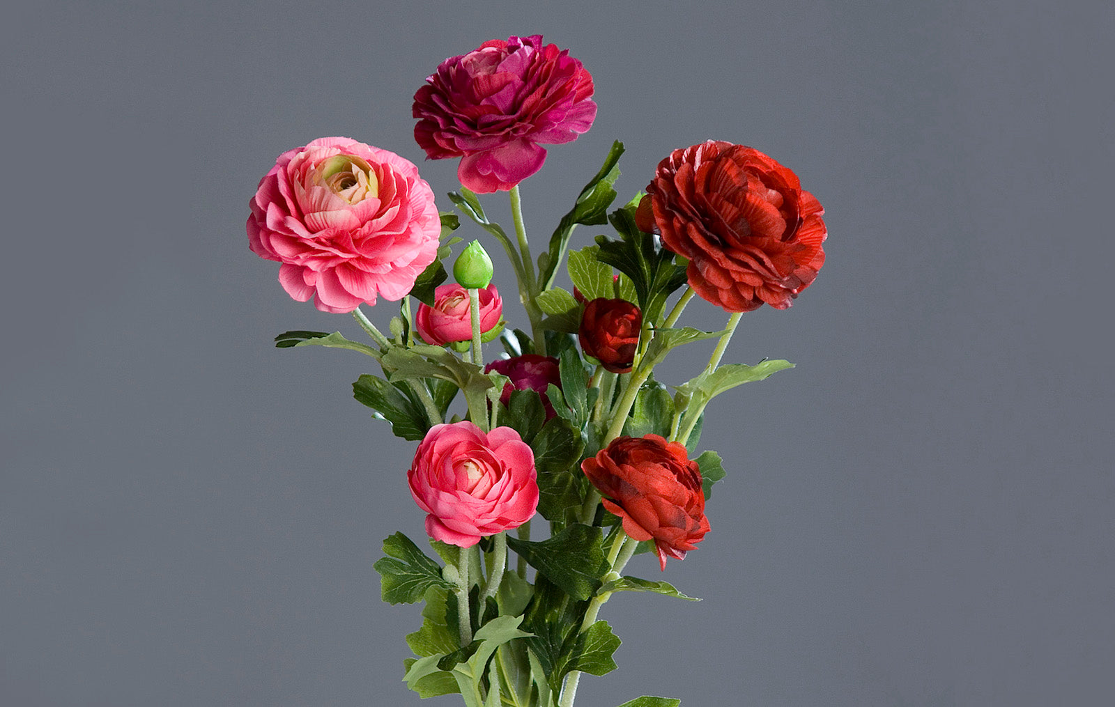 Buchet de 3 fire de Ranunculus artificiale cu nuante de fucsia si roz 62 cm