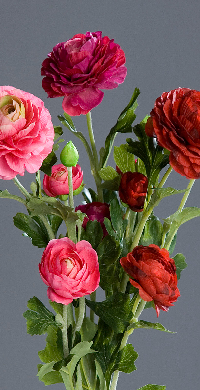 Buchet de 3 fire de Ranunculus artificiale cu nuante de fucsia si roz 62 cm