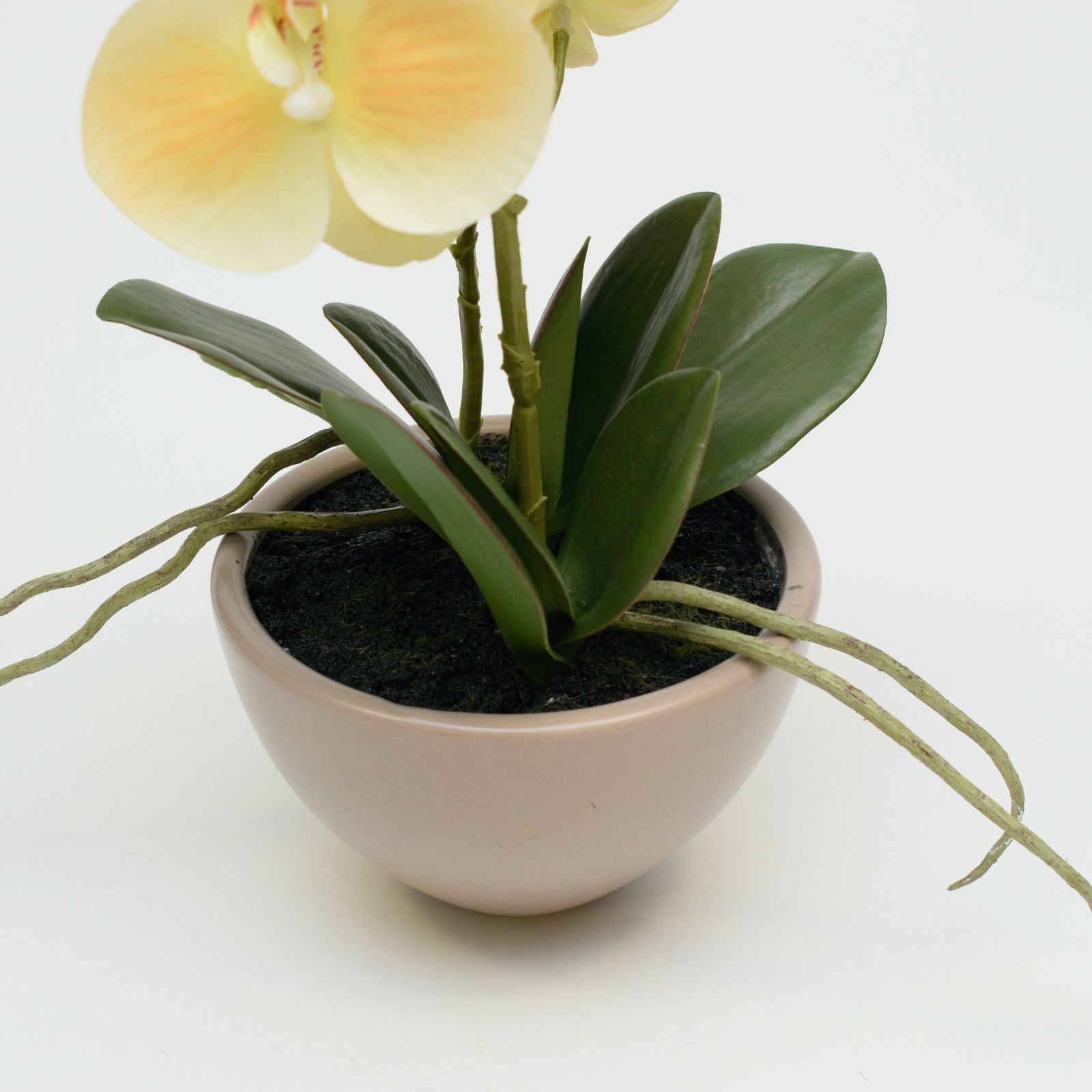 Orhidee artificiala Phalaenopsis crem in vas ceramic, 30 cm