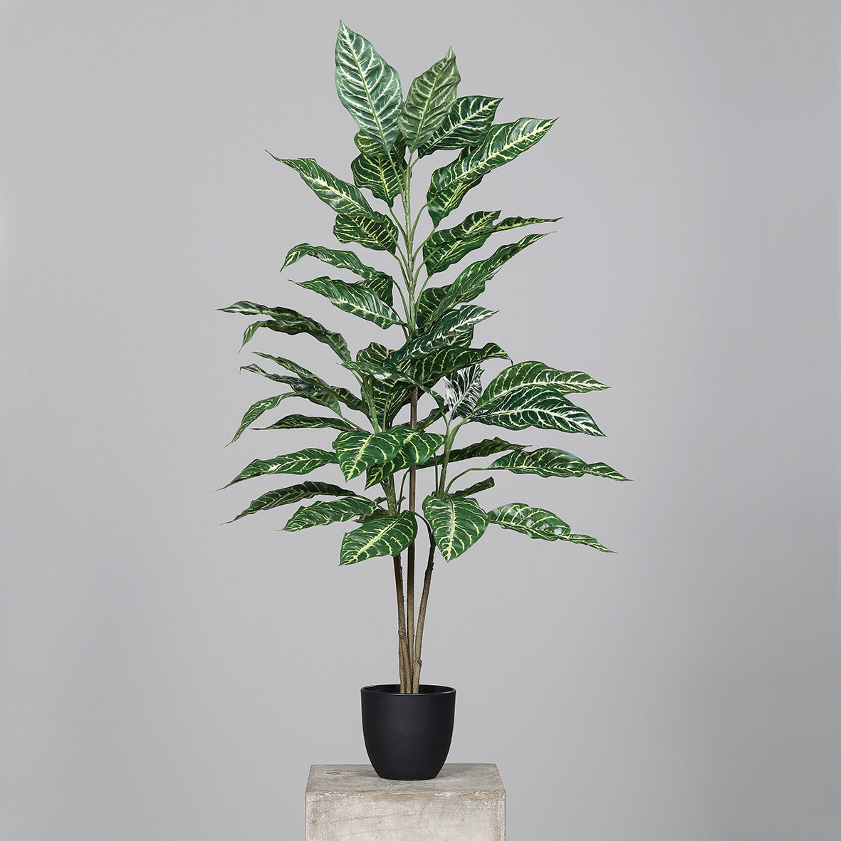 Dieffenbachia artificiala aspect 100% natural 100 cm
