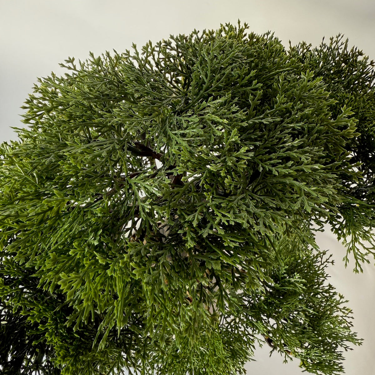 Bonsai artificial ienupar, in bol ceramic alb, 48 cm