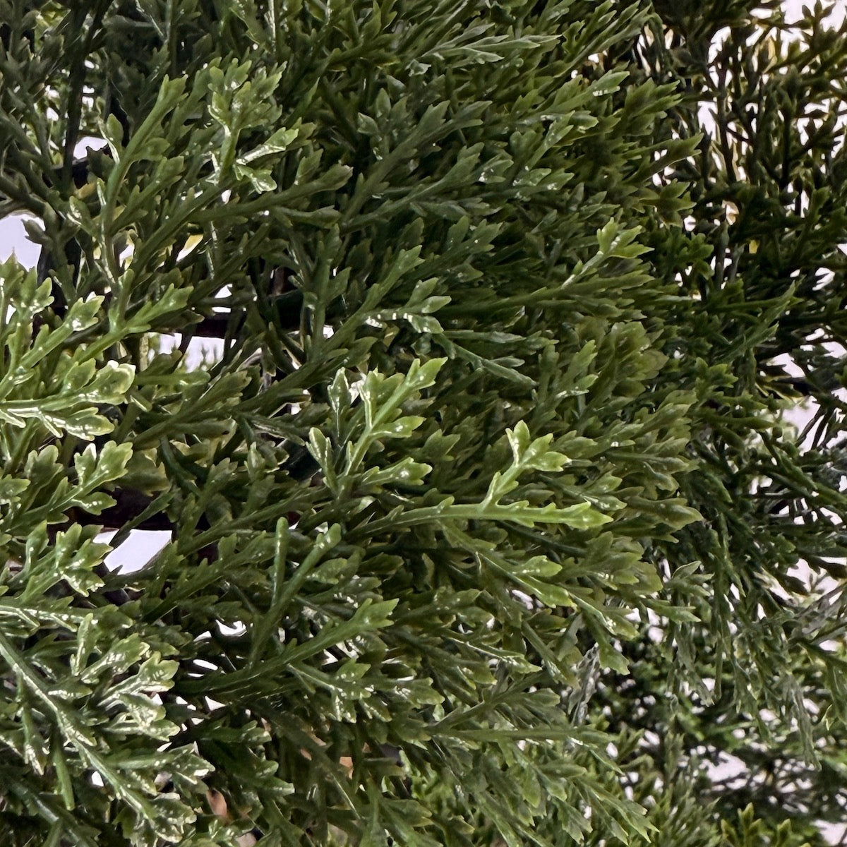 Bonsai artificial ienupar, in bol ceramic alb, 48 cm