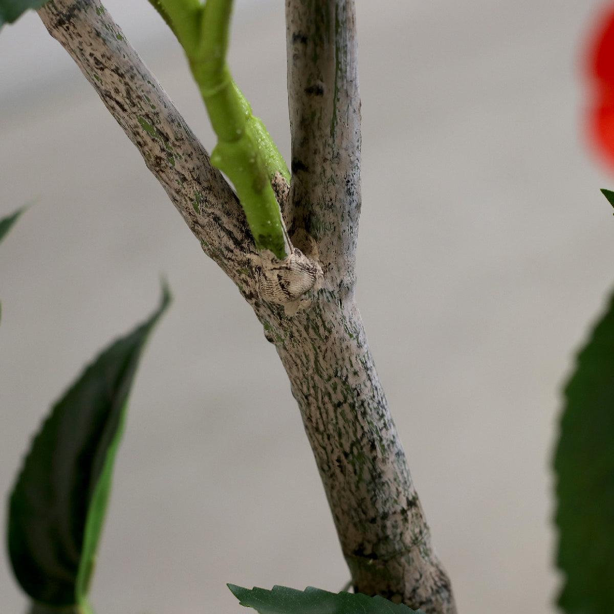 Planta decorativa trandafir japonez artificial rosu in ghiveci de plastic, 120 cm