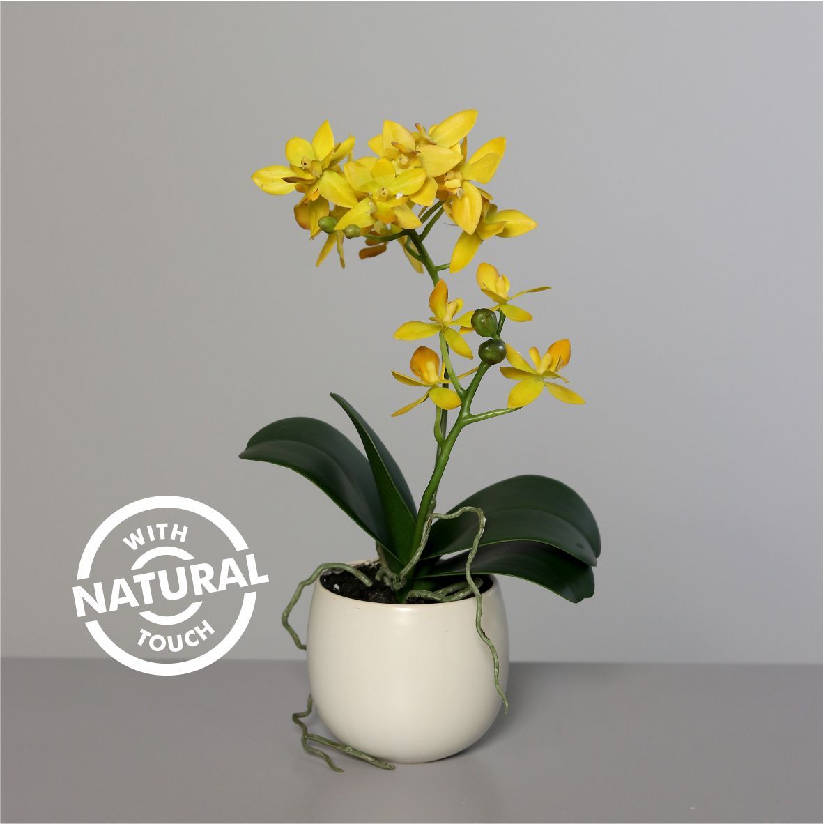 Orhidee artificiala Phalaenopsis galbena cu aspect 100% natural in vas ceramic, 34 cm