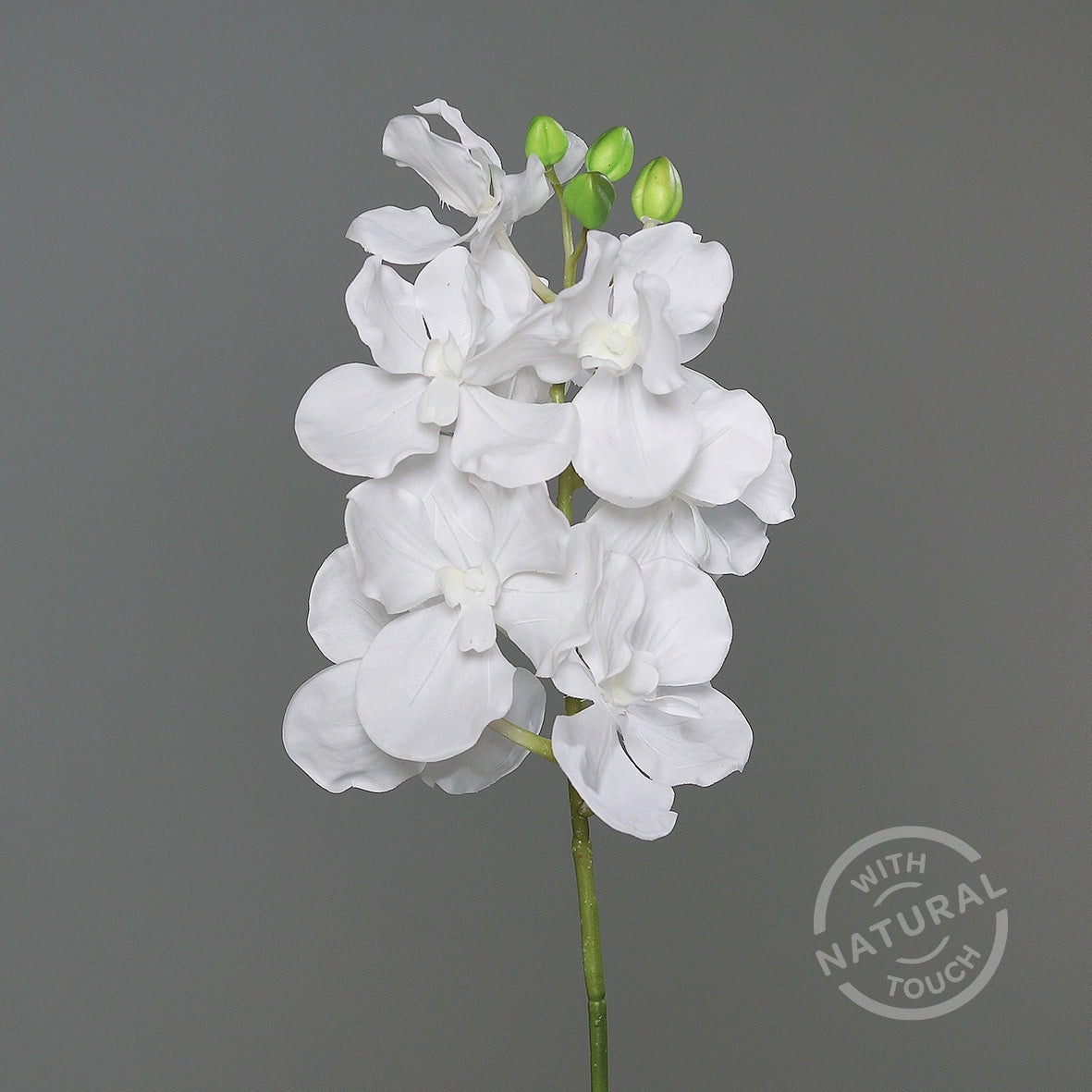 Orhidee artificiala la fir, culoare alba, 74 cm